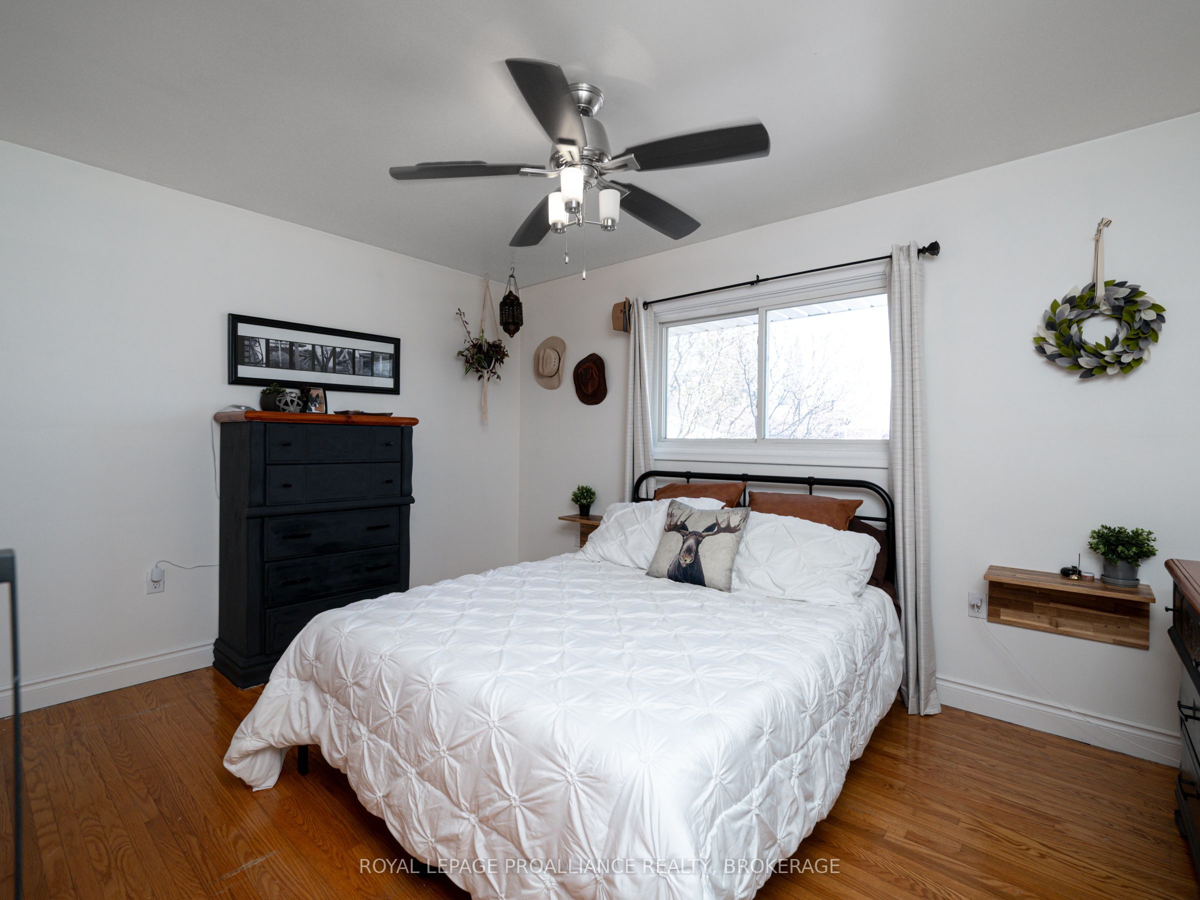 70 Briscoe Street Property Photo 20