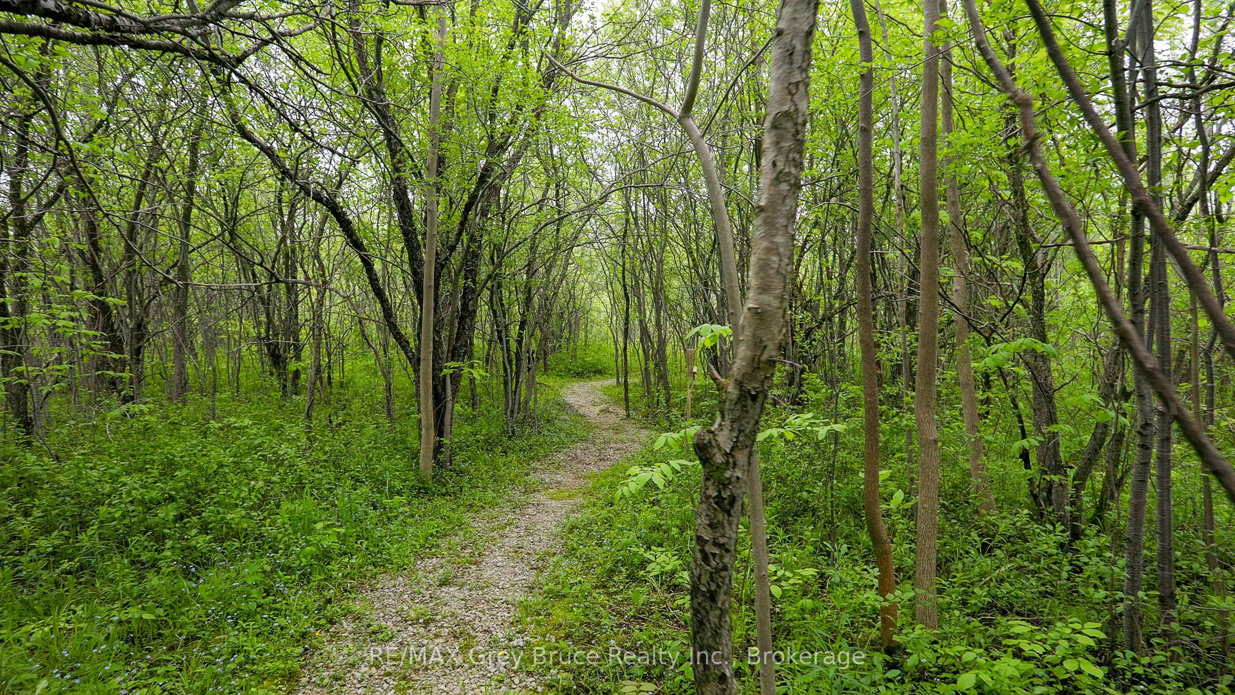 350293 A Concession Property Photo 48