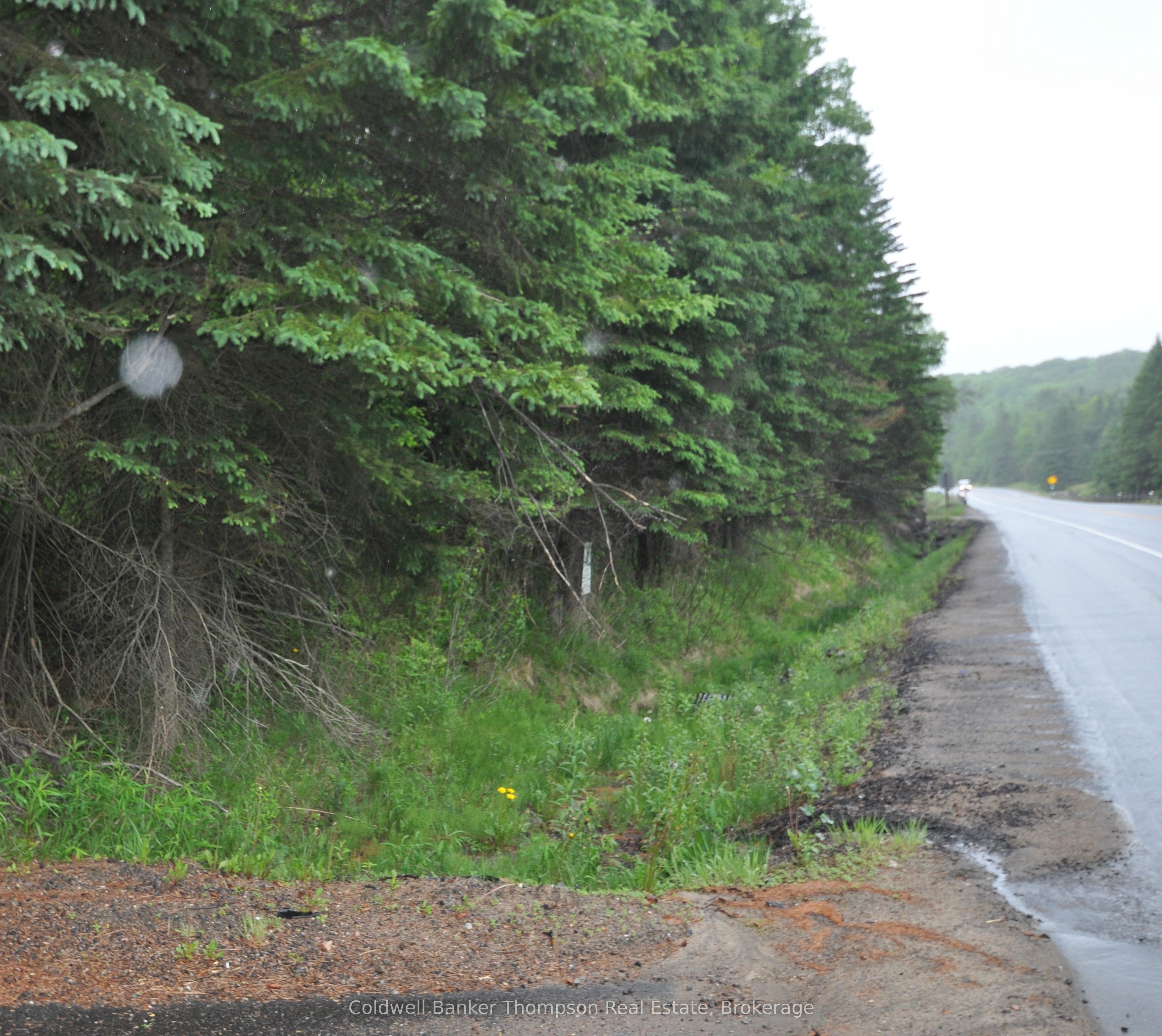 2818 Highway 60 Property Photo 1