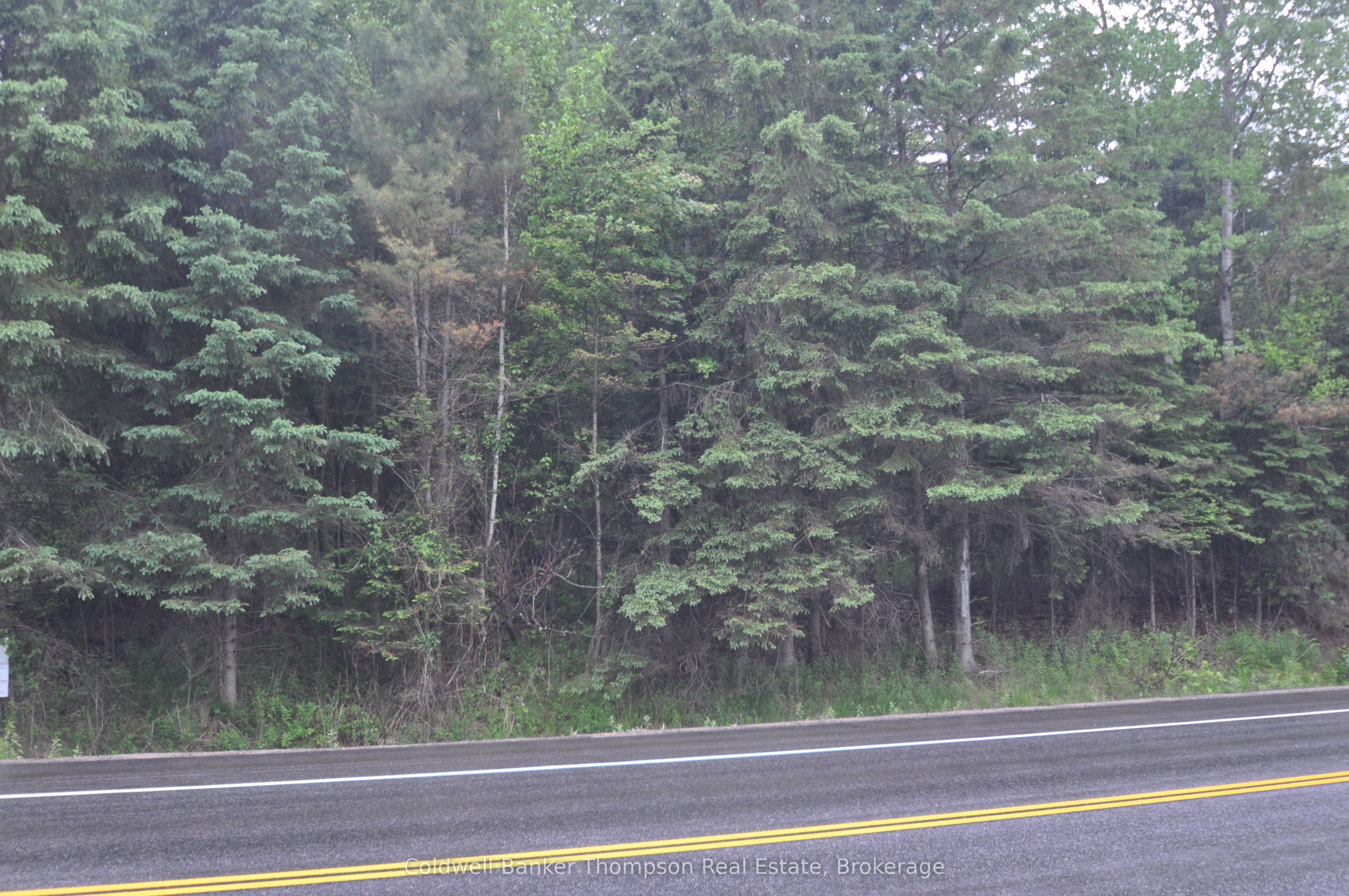 2818 Highway 60 Property Photo 5