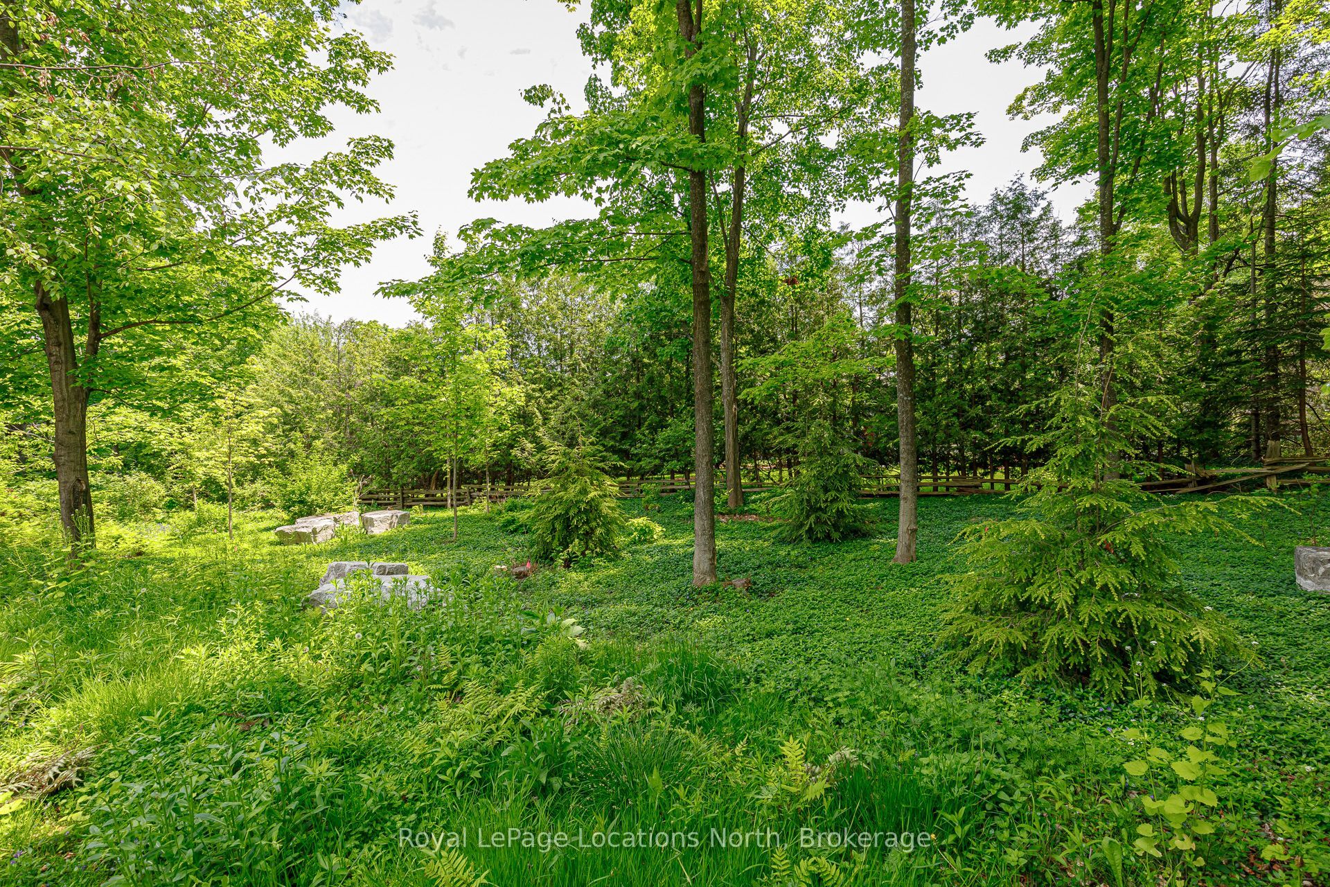 169 Aspen Way Property Photo 42