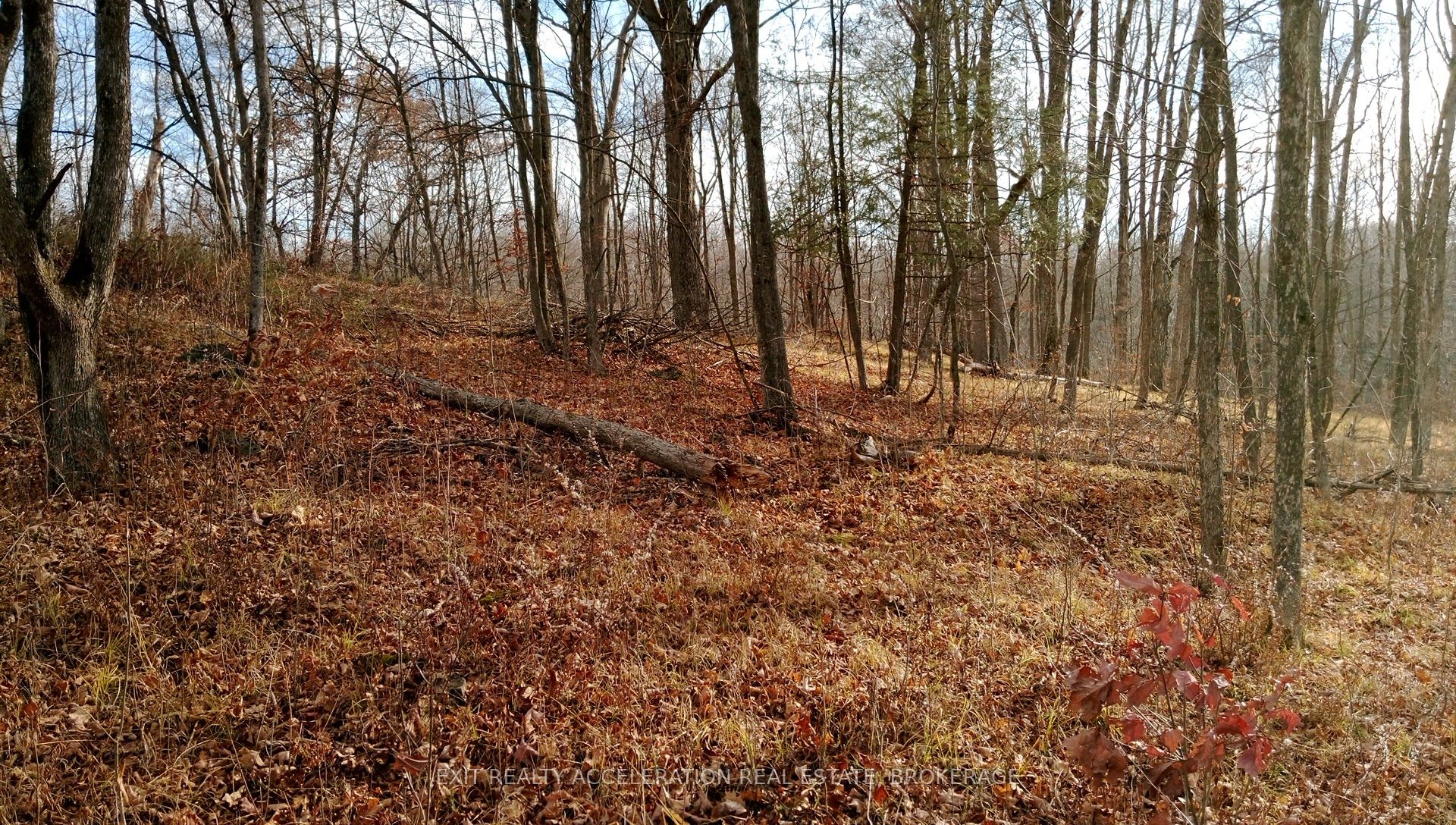 00 Tryon Road Property Photo 1