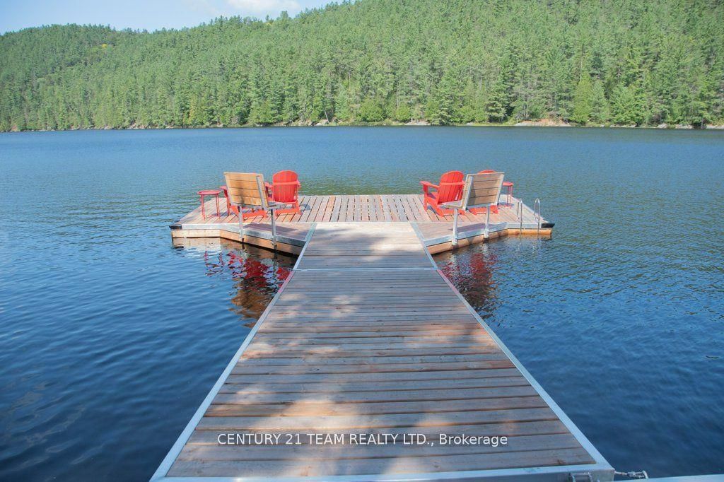 661 Old Hwy 17 Road Property Photo 1