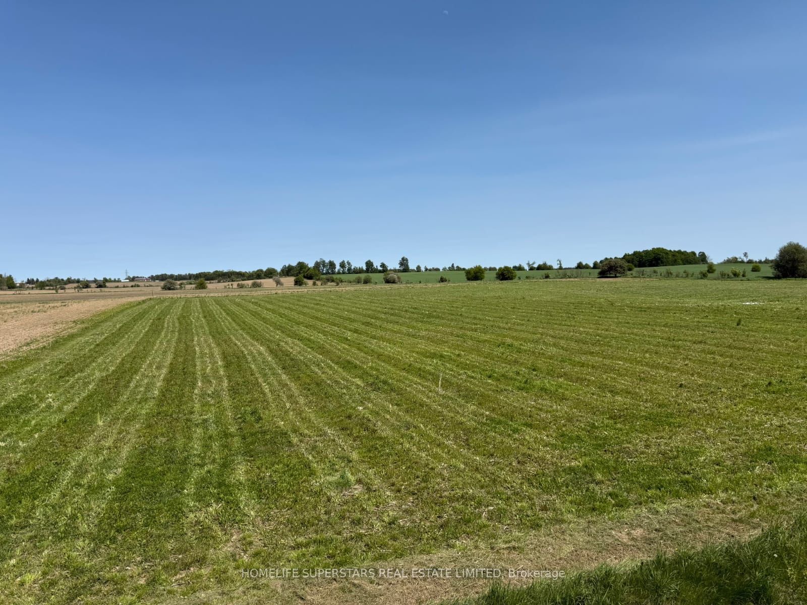 214131 10th Line Property Photo 3