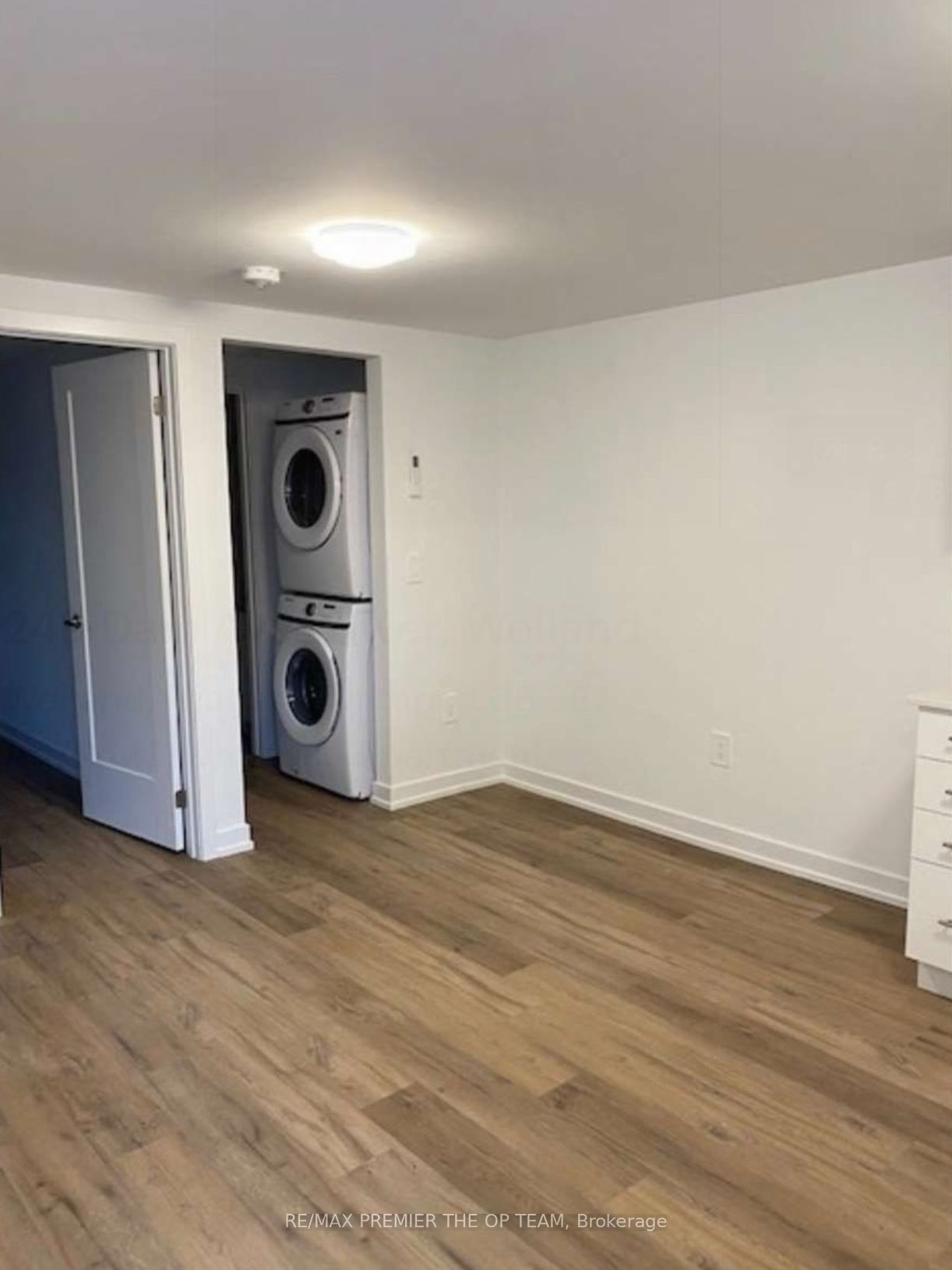 249 Dain Avenue Basement Property Photo 10