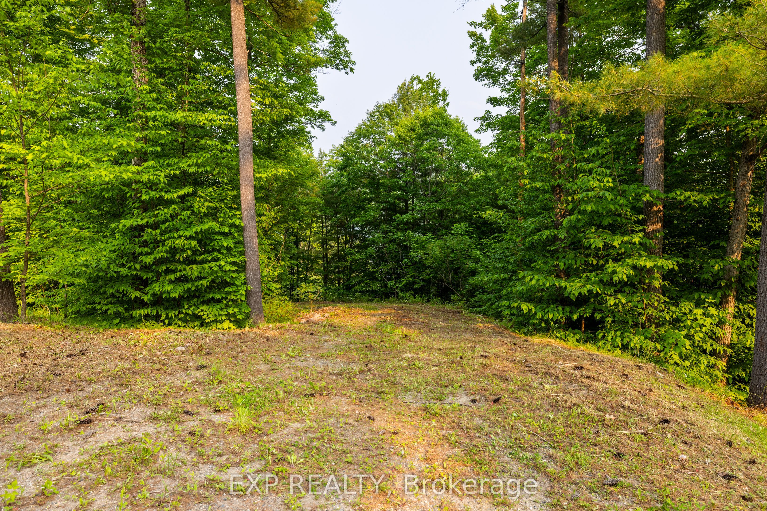 1225 Barrett Chute Road Property Photo 6