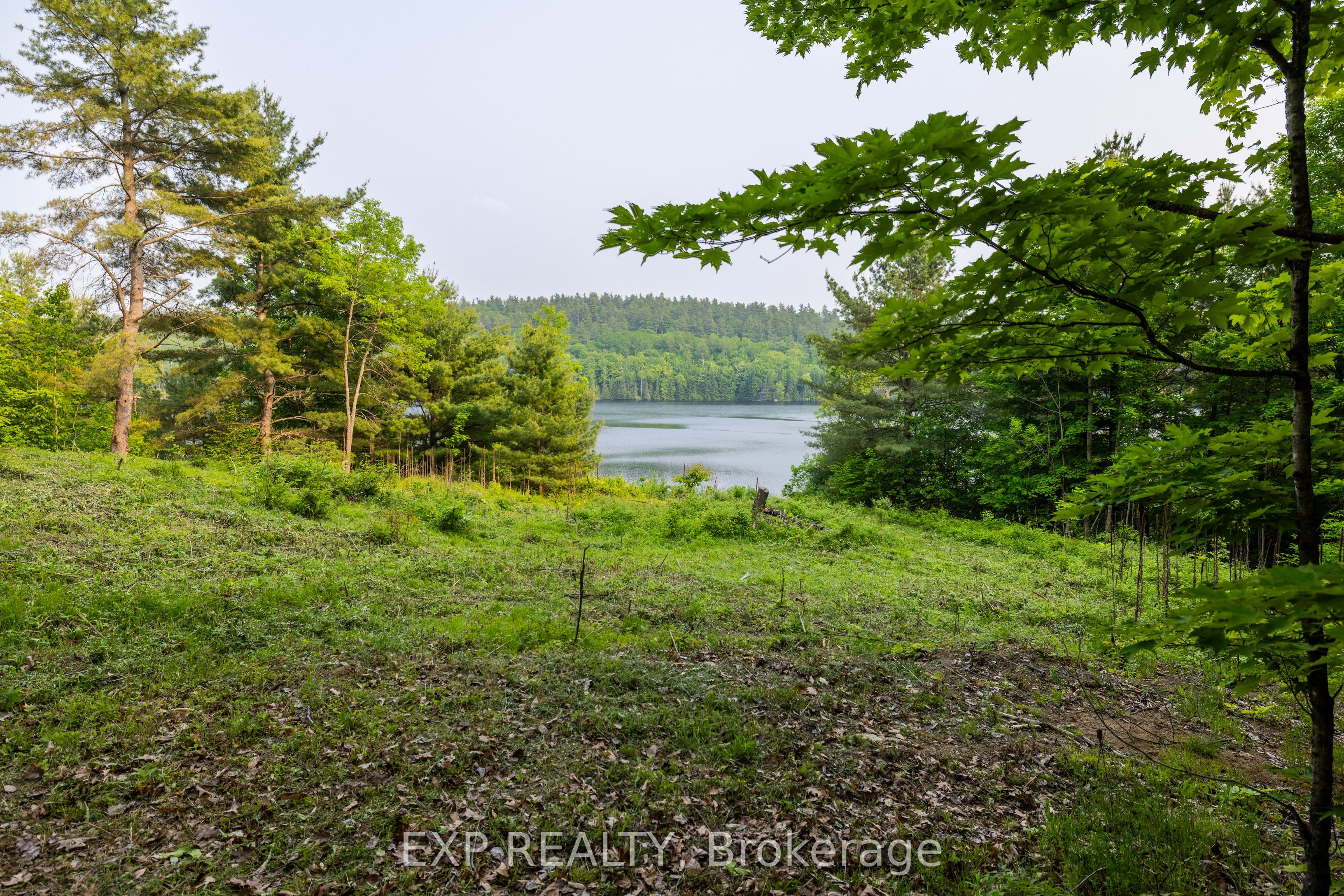 1225 Barrett Chute Road Property Photo 7