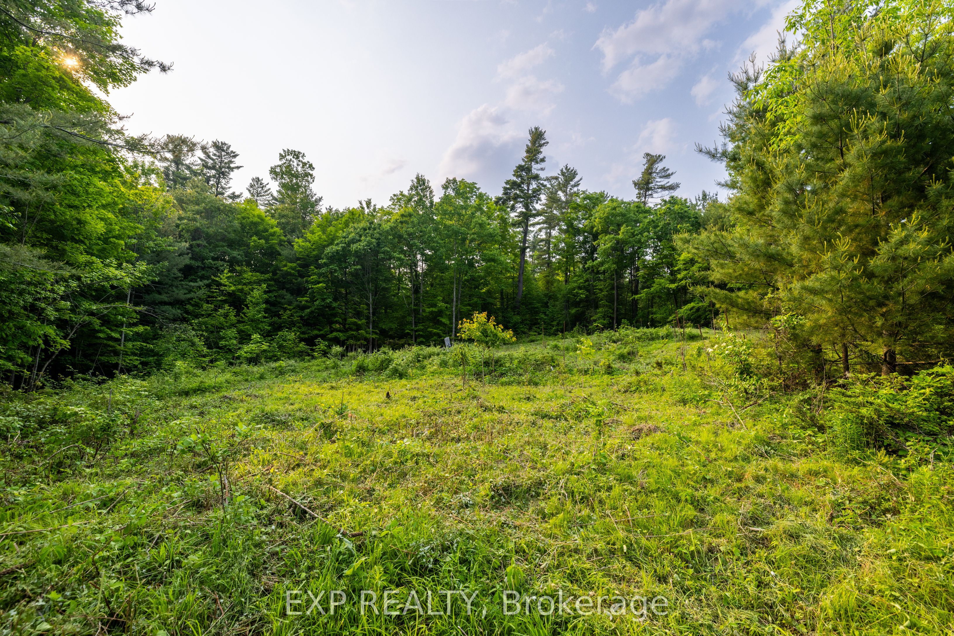 1225 Barrett Chute Road Property Photo 9