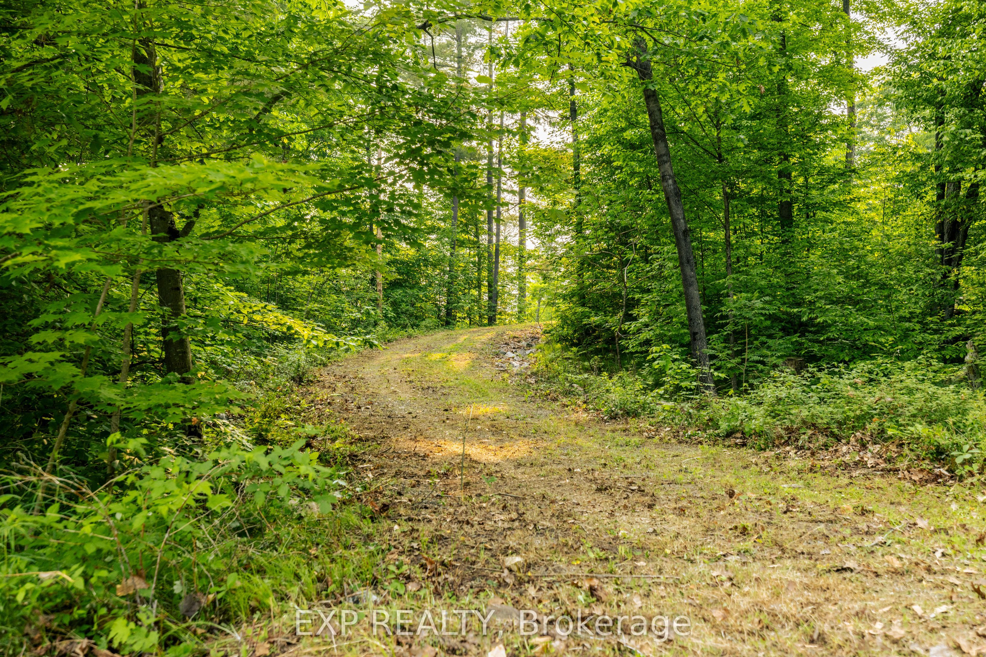 1225 Barrett Chute Road Property Photo 10