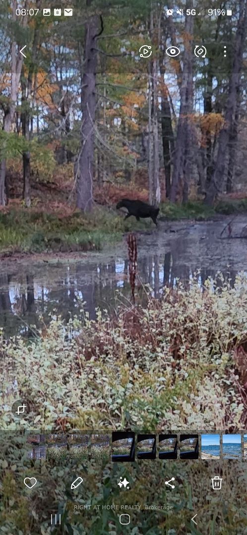 302 Fire Route 93a Route Property Photo 50