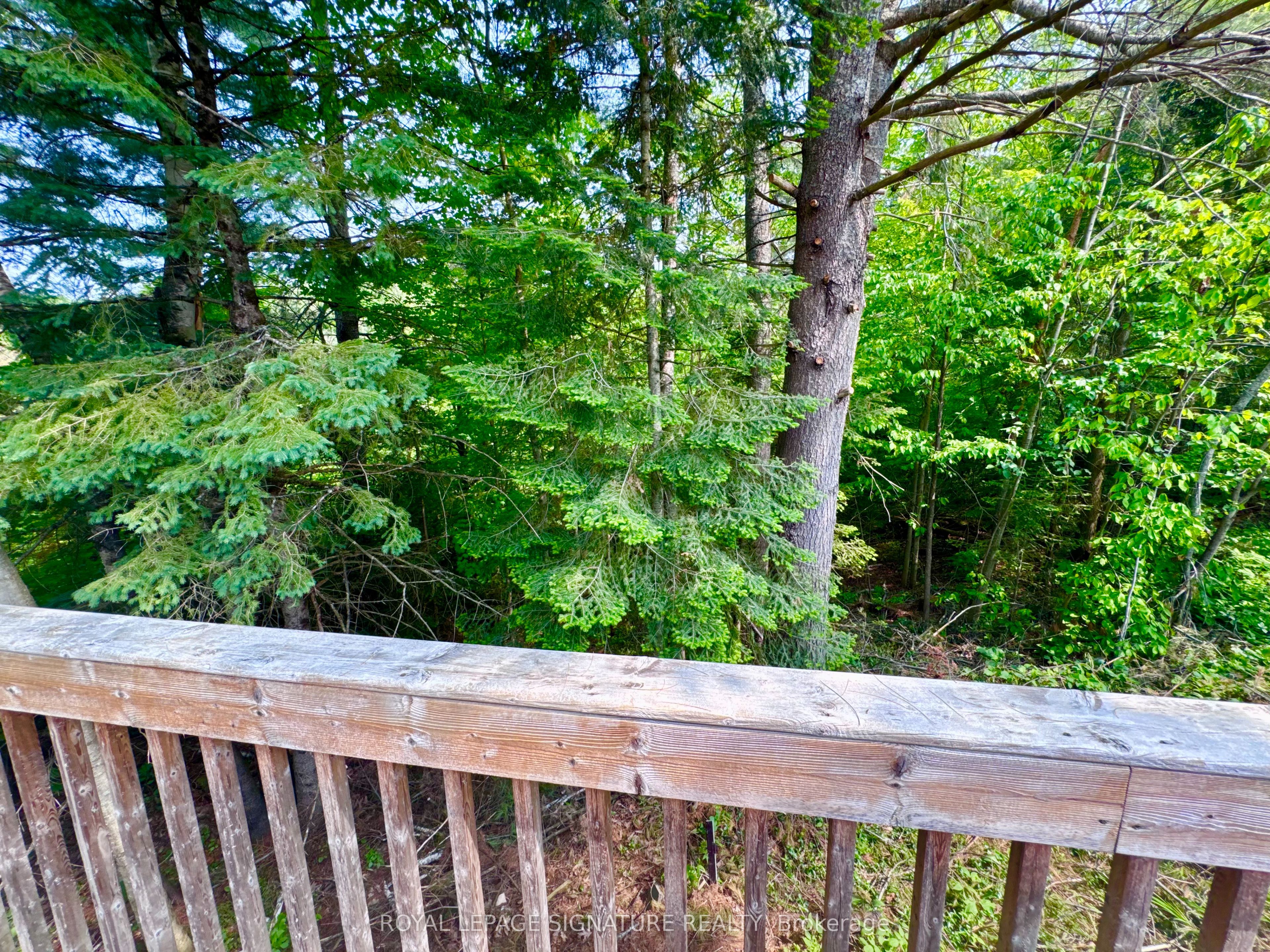 1019 Seventh Lane Property Photo 38