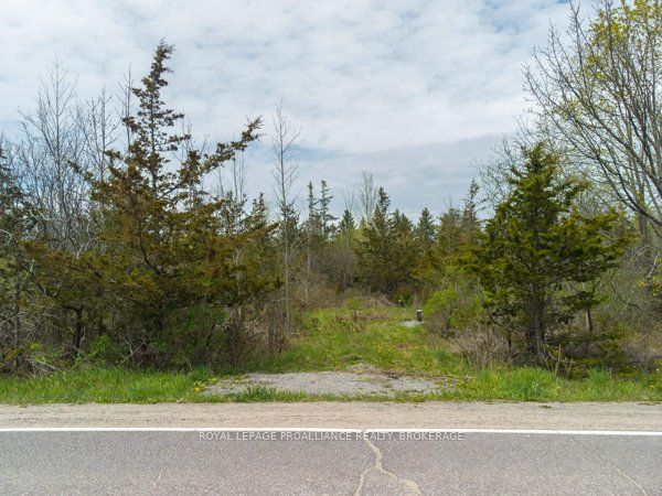 1685 Sunnyside Rd Property Photo 2