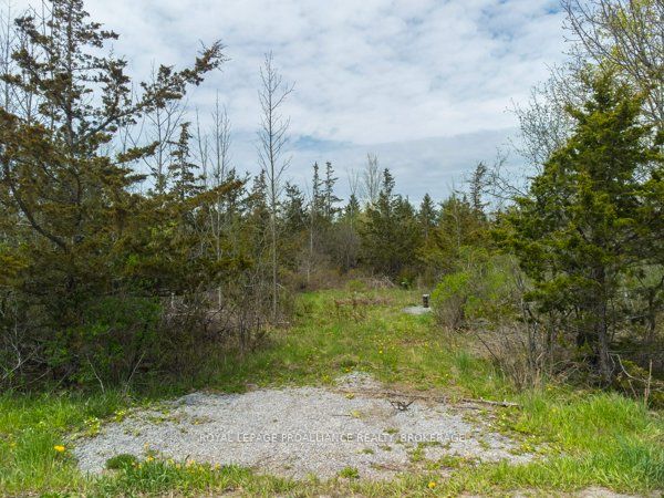 1685 Sunnyside Rd Property Photo 3