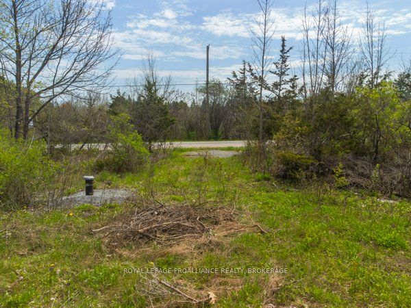 1685 Sunnyside Rd Property Photo 4