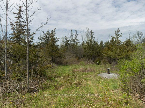 1685 Sunnyside Rd Property Photo 5