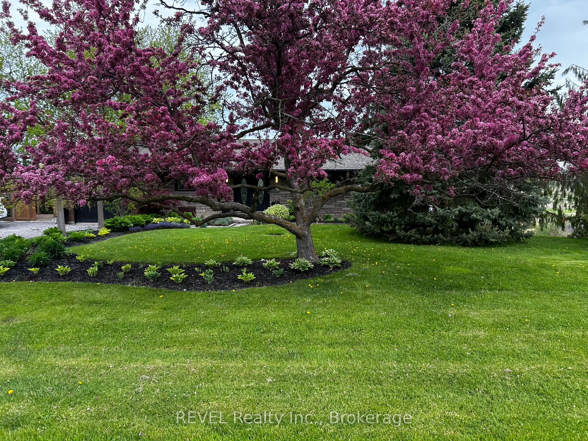 238 Queenston Road Property Photo 50