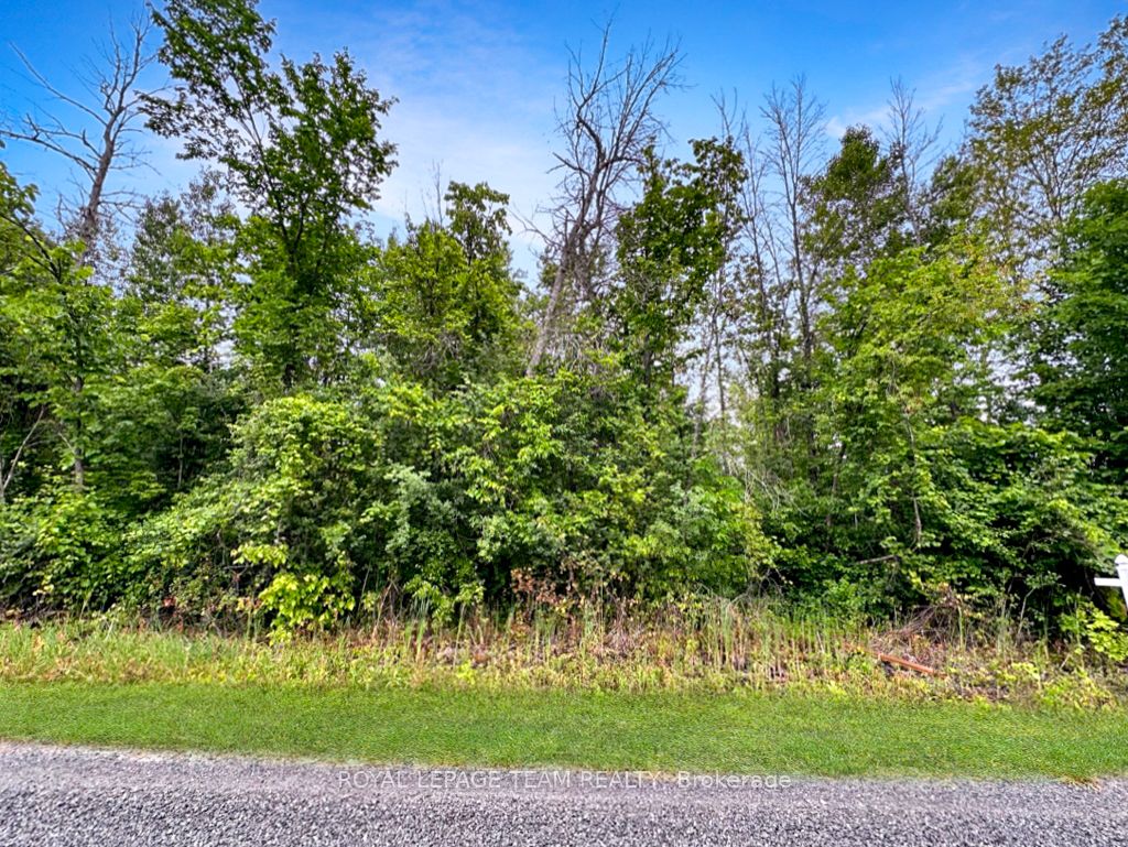 2819 Cowell Rd Property Photo 21