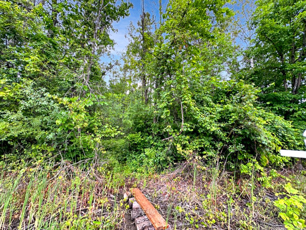 2819 Cowell Rd Property Photo 23