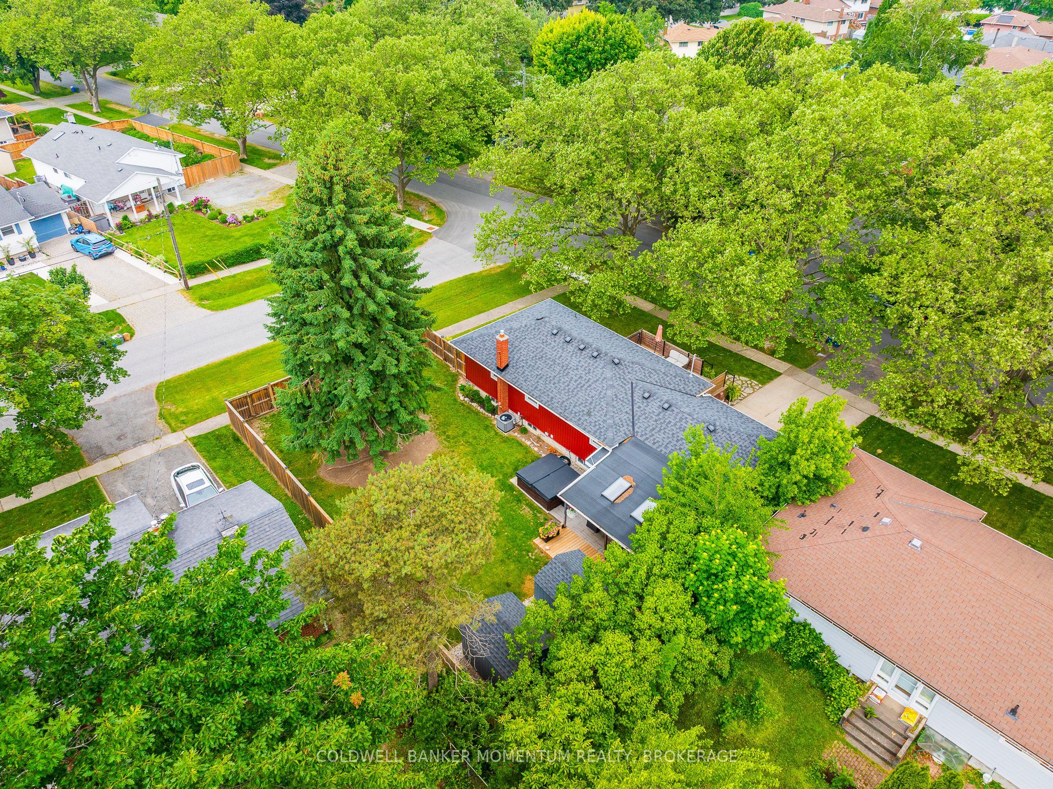 7 Overholt Street Property Photo 4