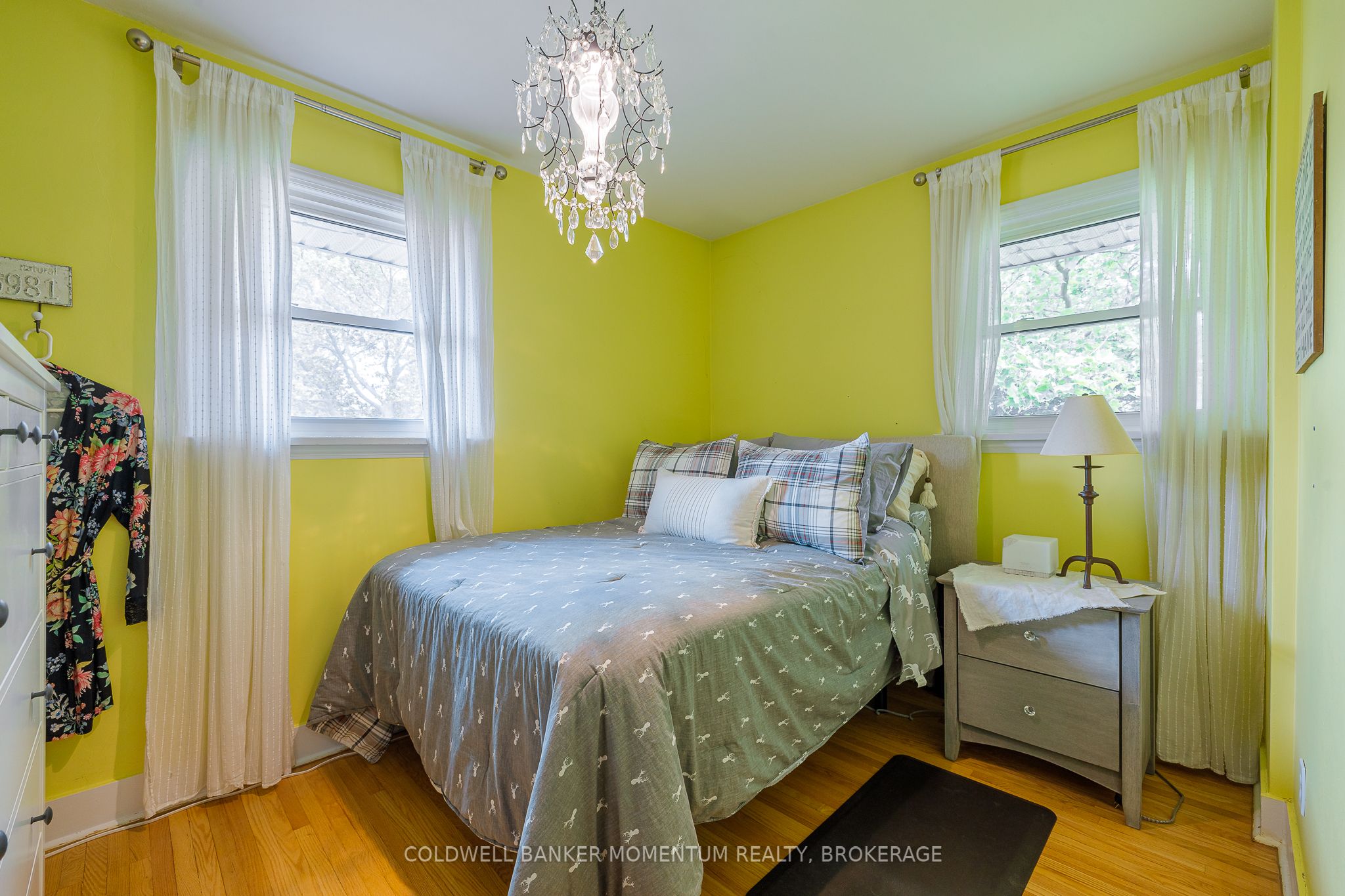 7 Overholt Street Property Photo 31
