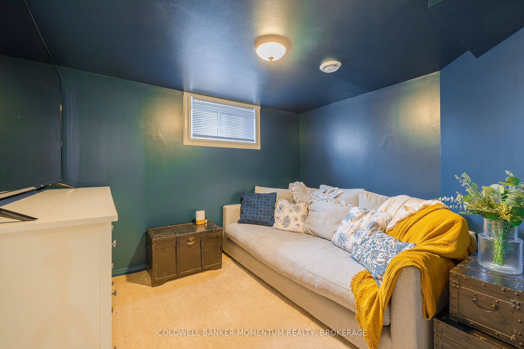 7 Overholt Street Property Photo 35