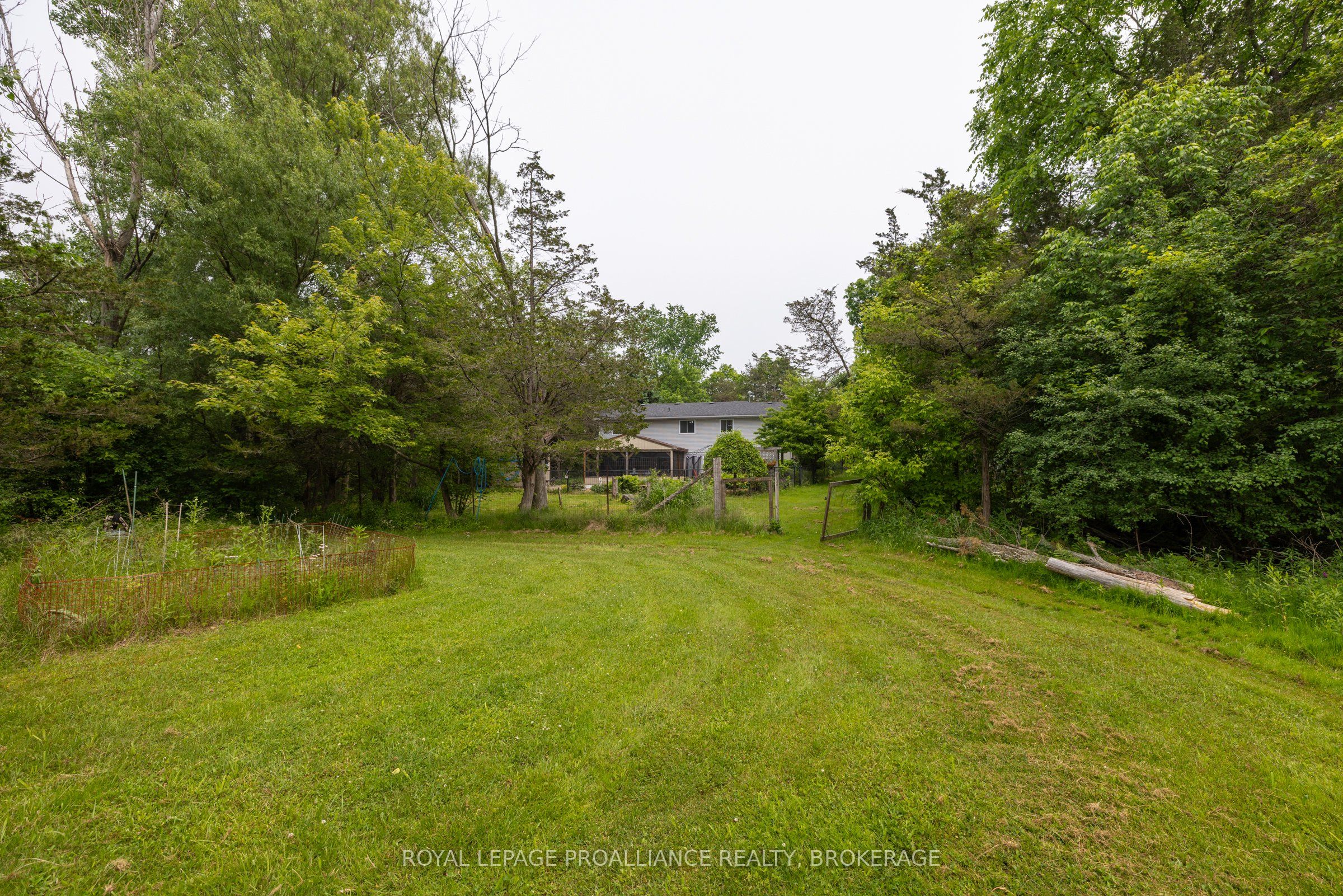 1223 County Road 9 Property Photo 41