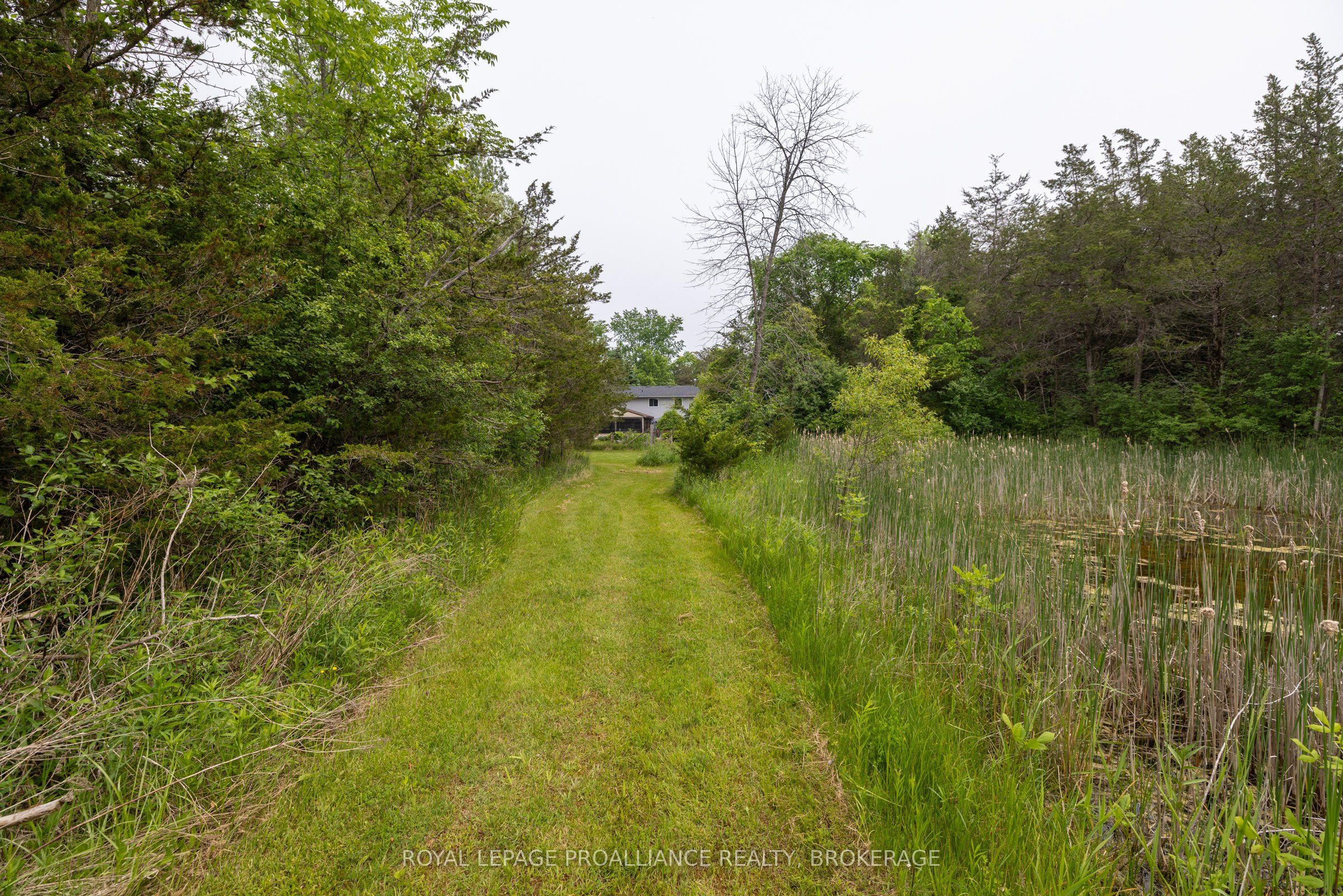 1223 County Road 9 Property Photo 42