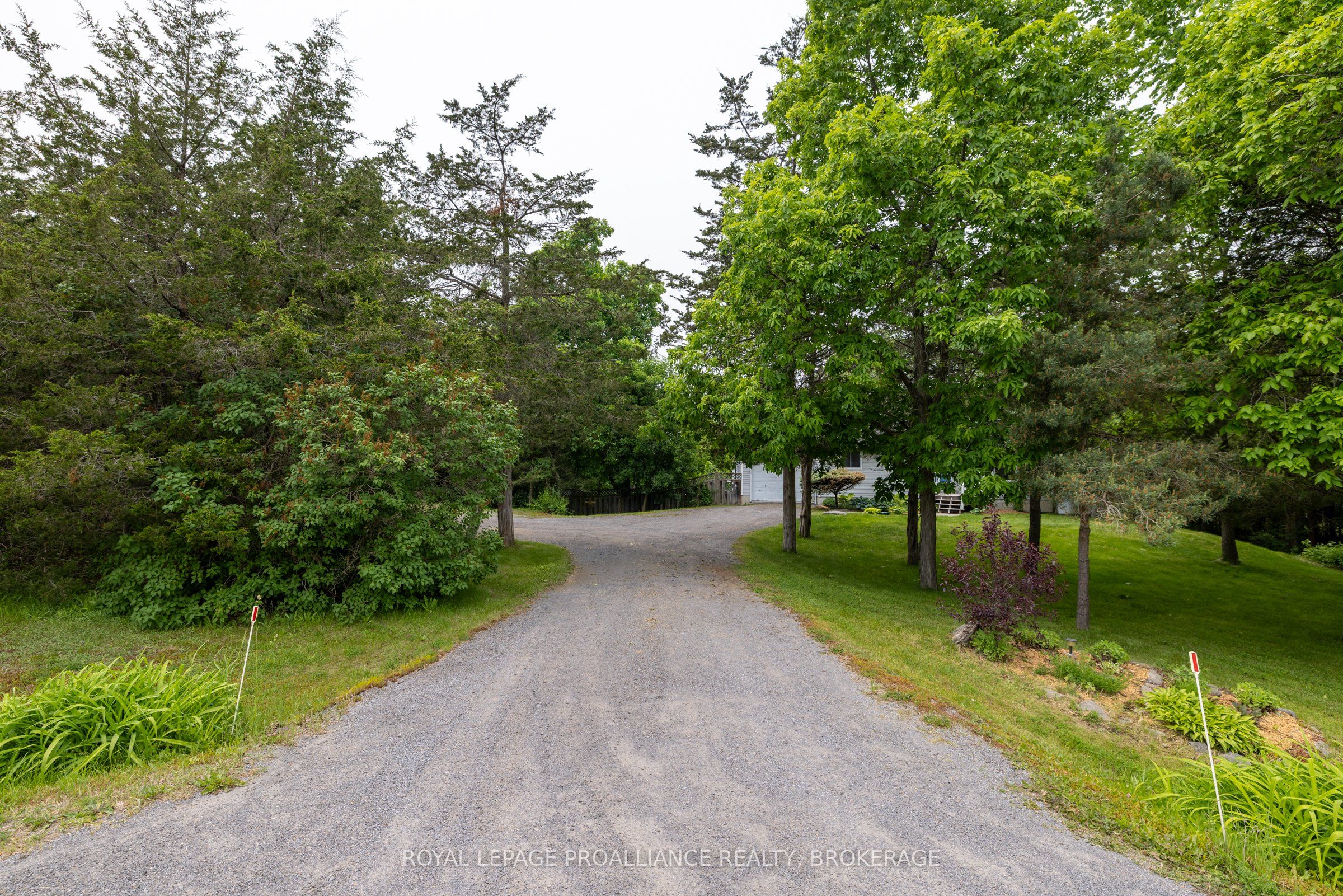 1223 County Road 9 Property Photo 43