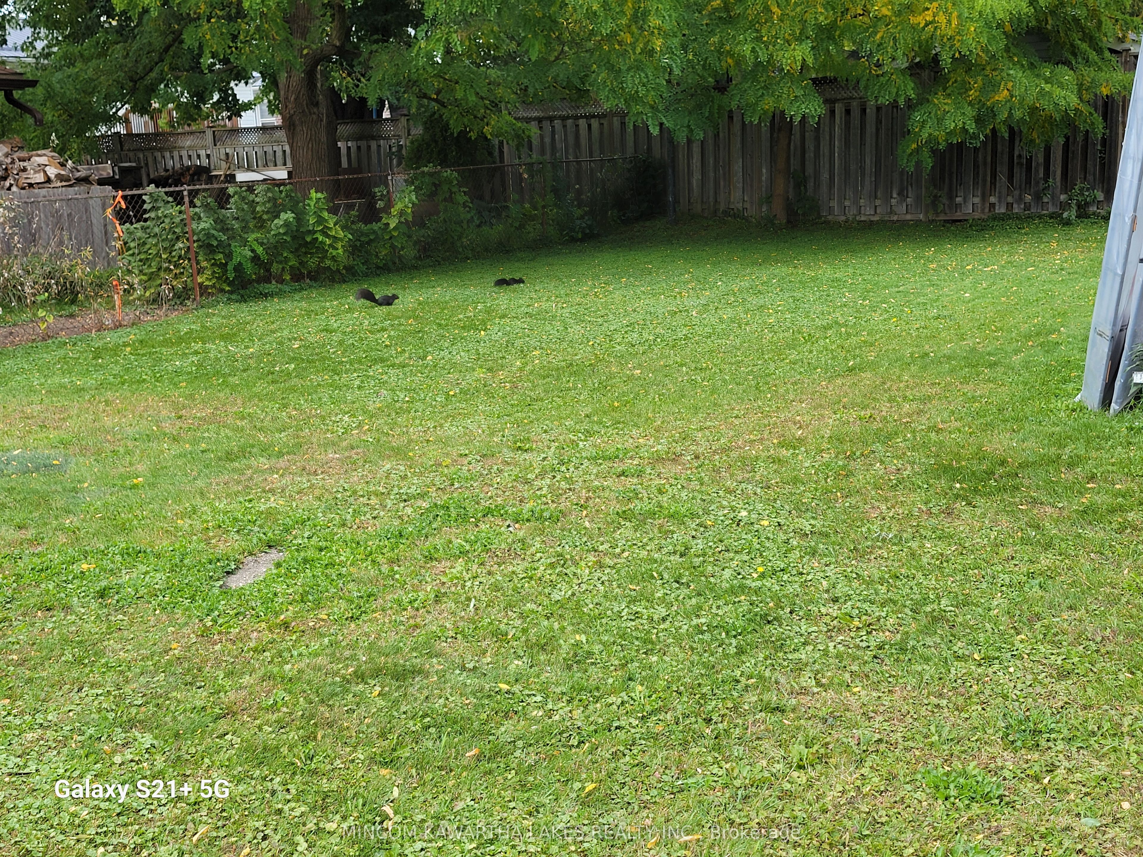 00 Western Avenue Property Photo 1