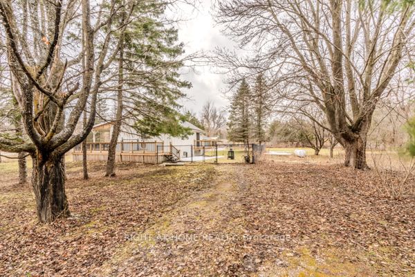 667287 20 Side Road Property Photo 29