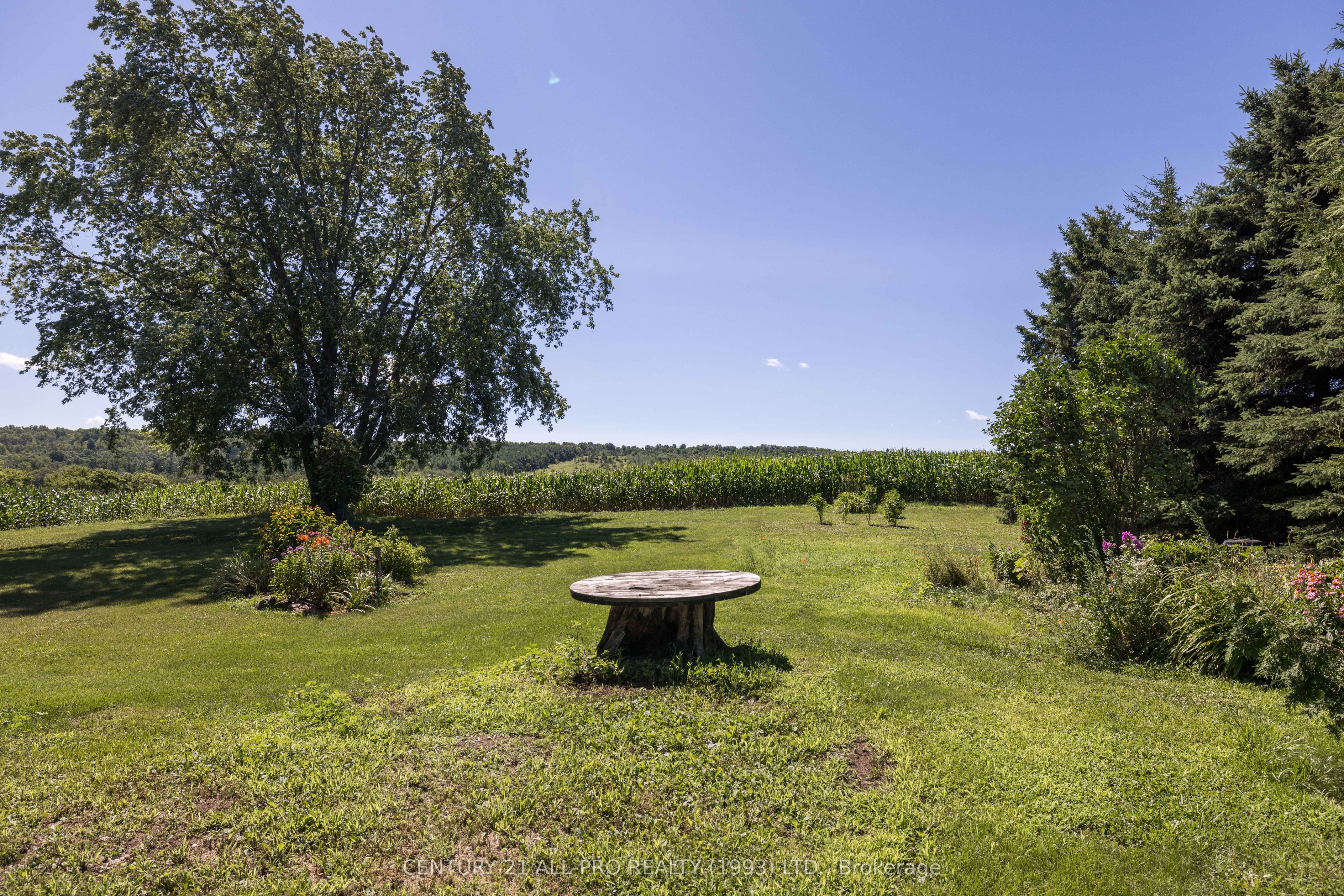 426 Goodfellow Road Property Photo 8