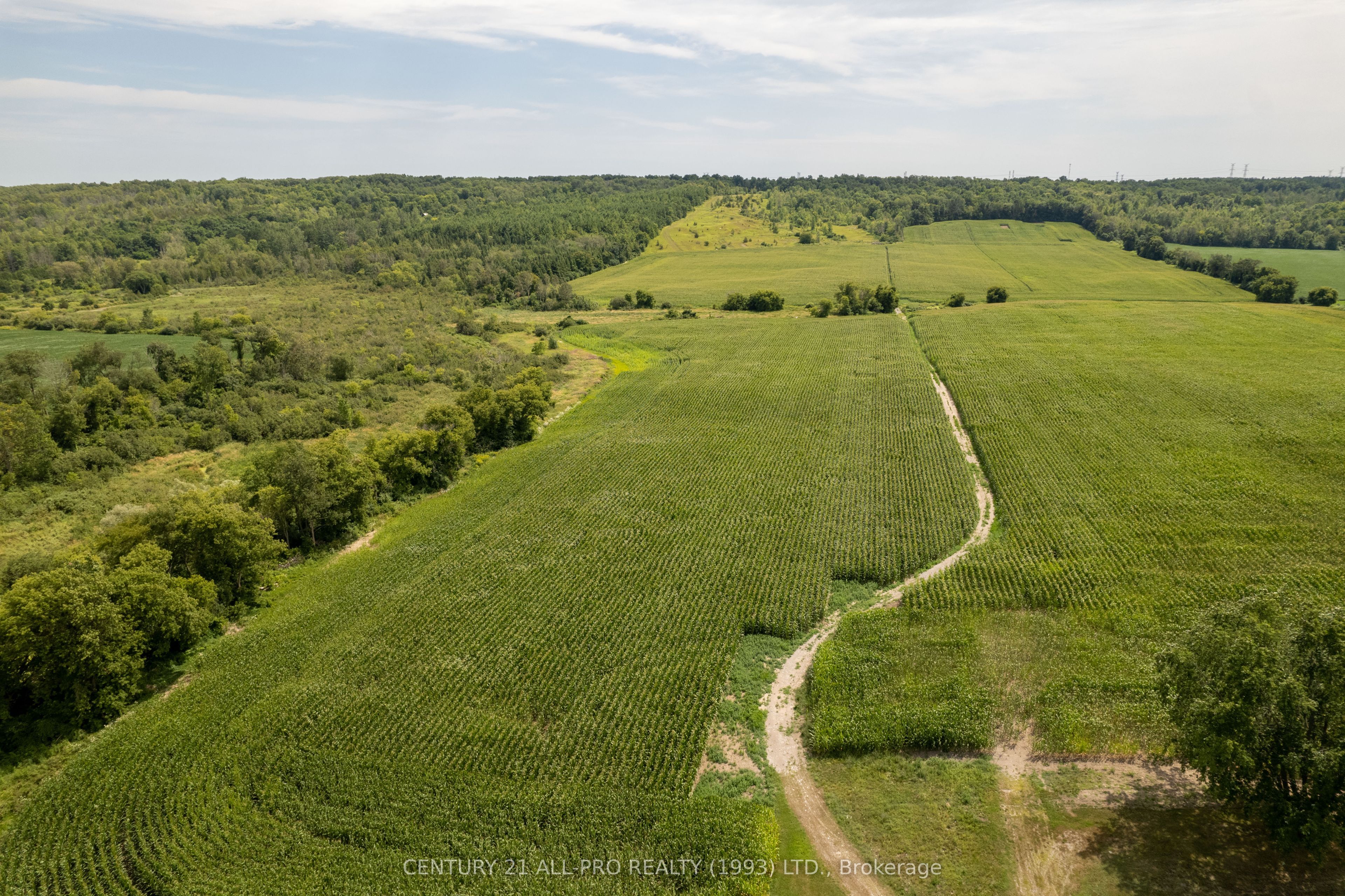 426 Goodfellow Road Property Photo 12