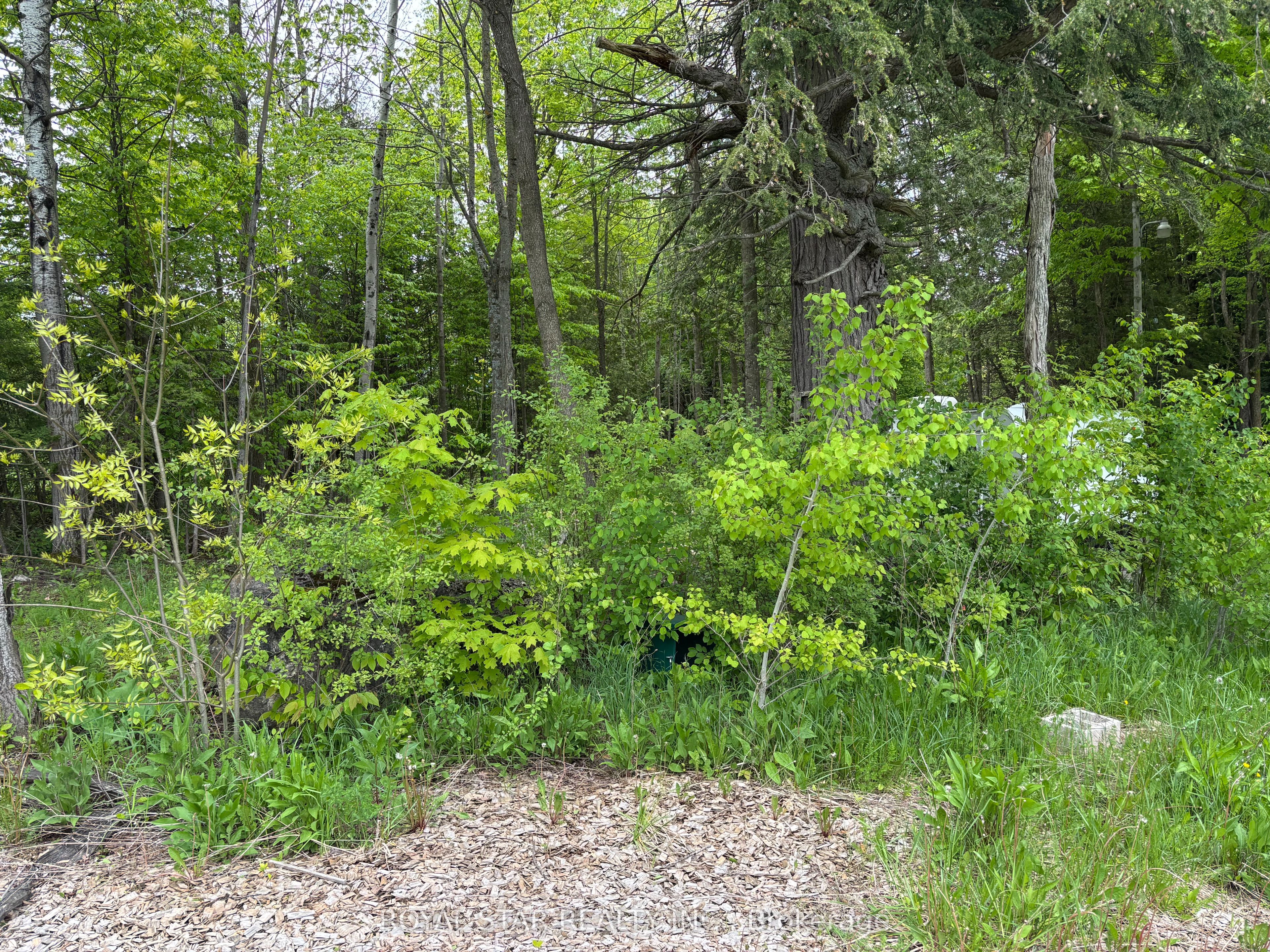 104264 Grey Road 18 N/a Property Photo 3