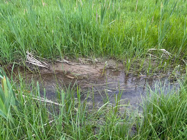 104264 Grey Road 18 N/a Property Photo 8