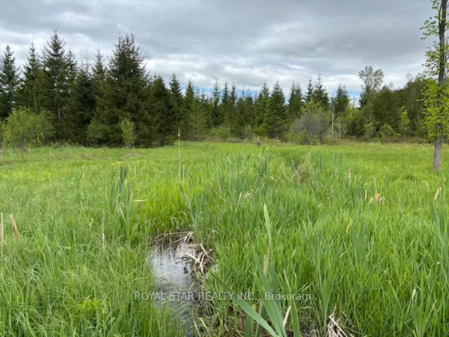 104264 Grey Road 18 N/a Property Photo 9