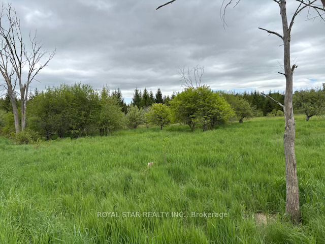 104264 Grey Road 18 N/a Property Photo 10