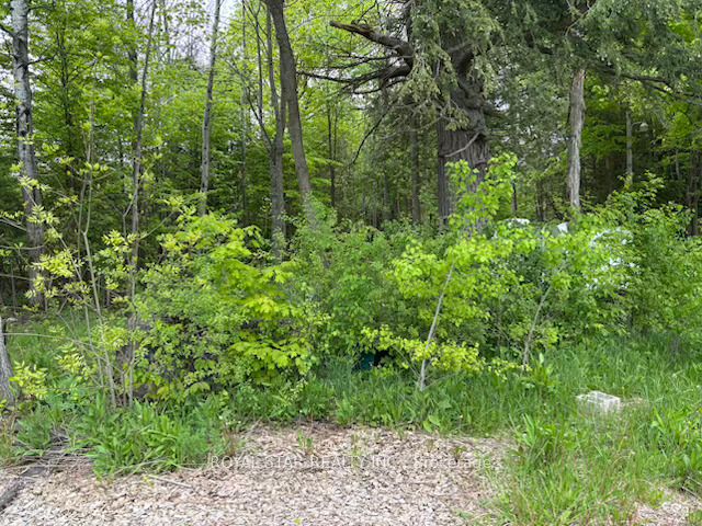 104264 Grey Road 18 N/a Property Photo 14