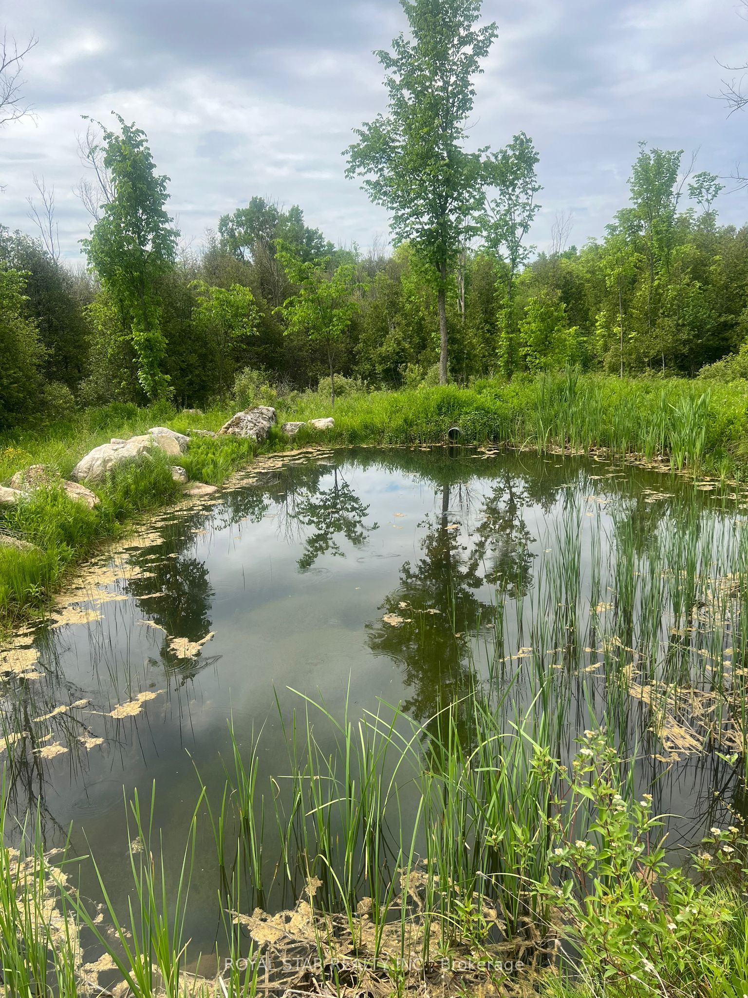 104264 Grey Road 18 N/a Property Photo 16