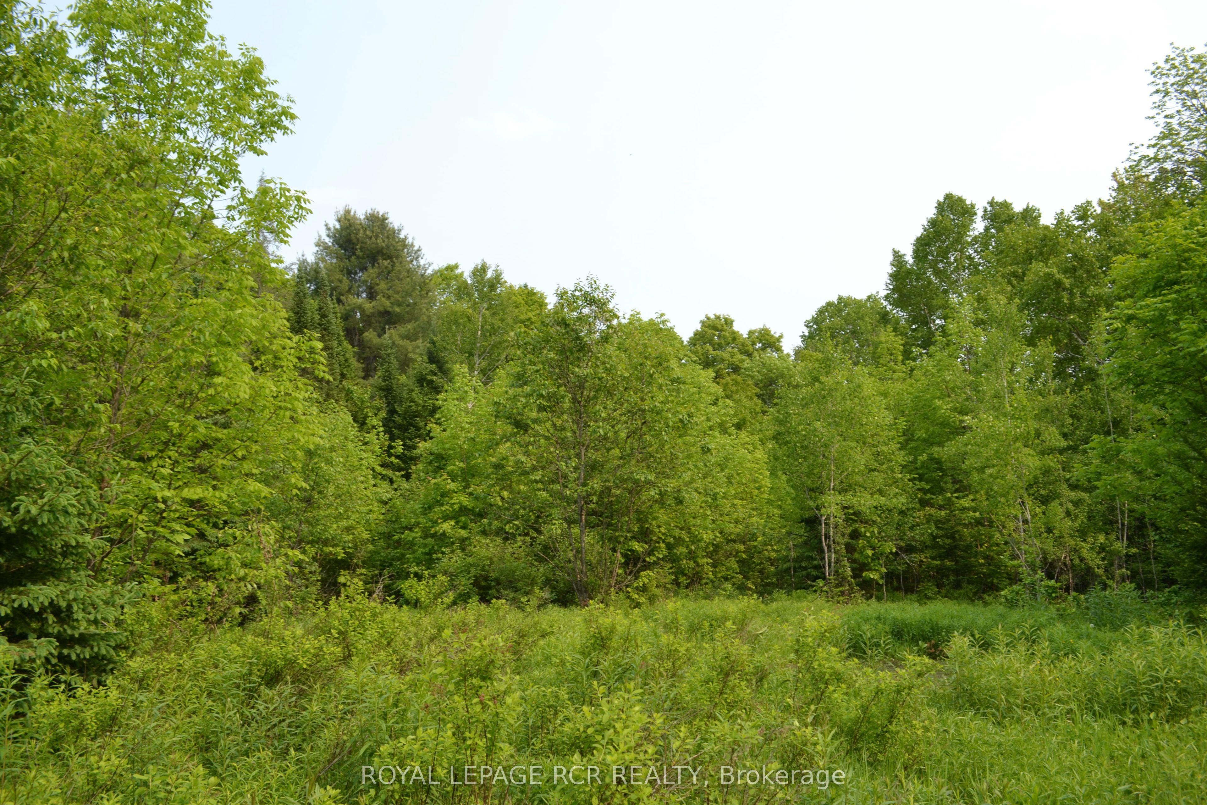 1251 Madill Road