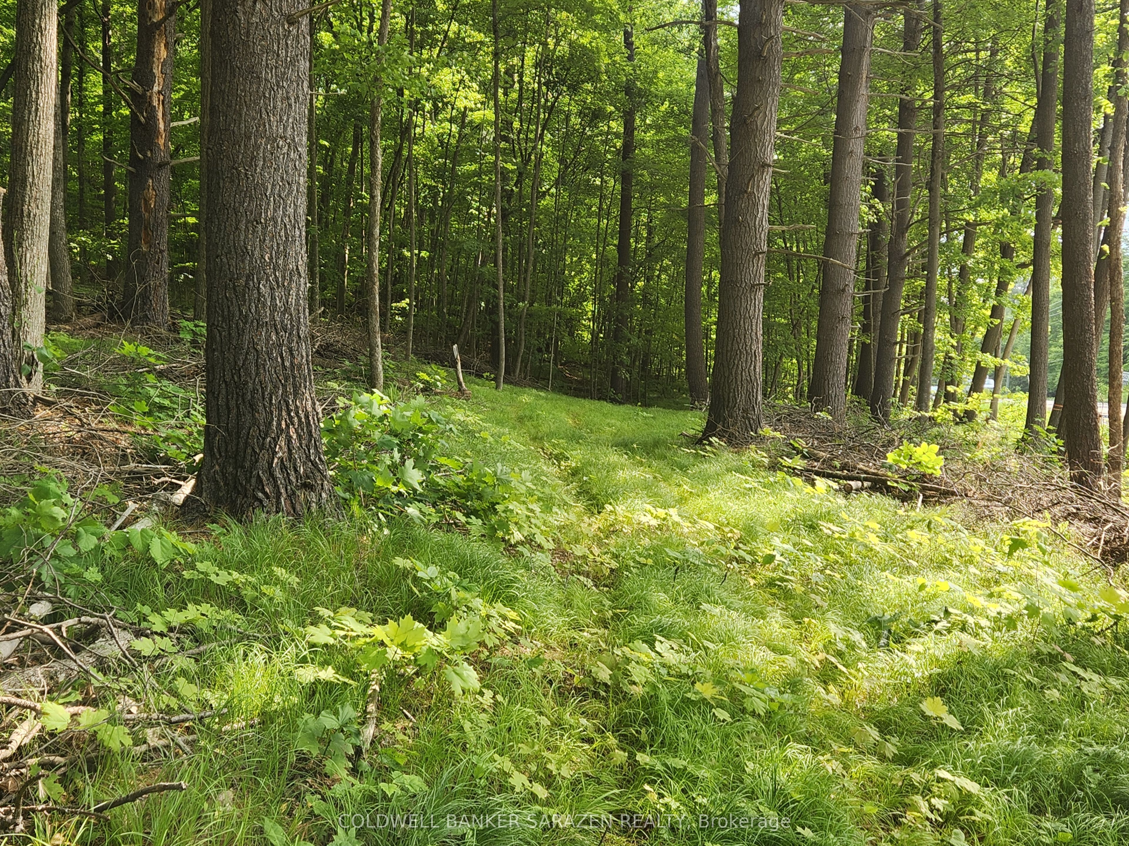 1680 Calabogie Road Property Photo 3