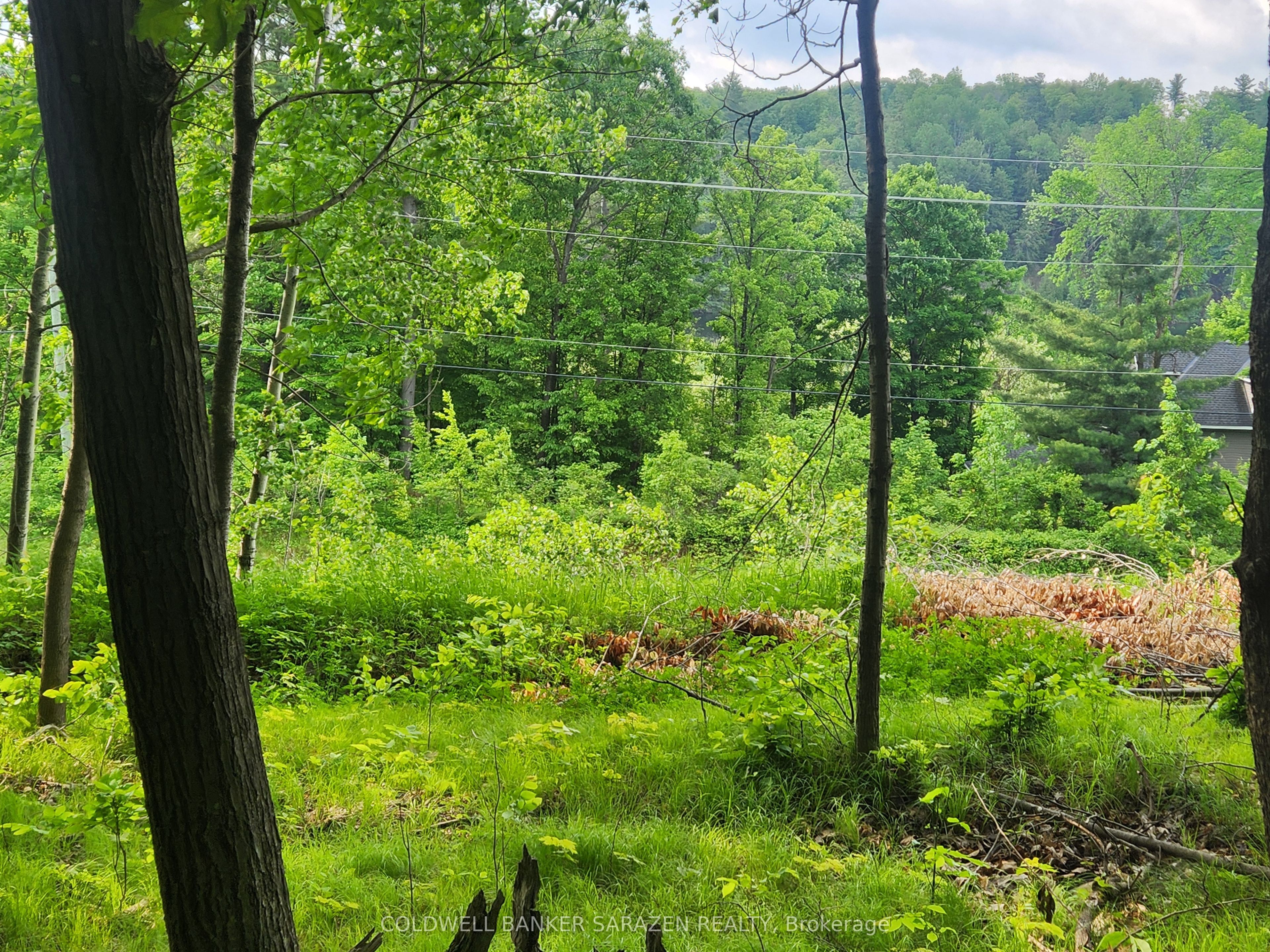 1680 Calabogie Road Property Photo 4