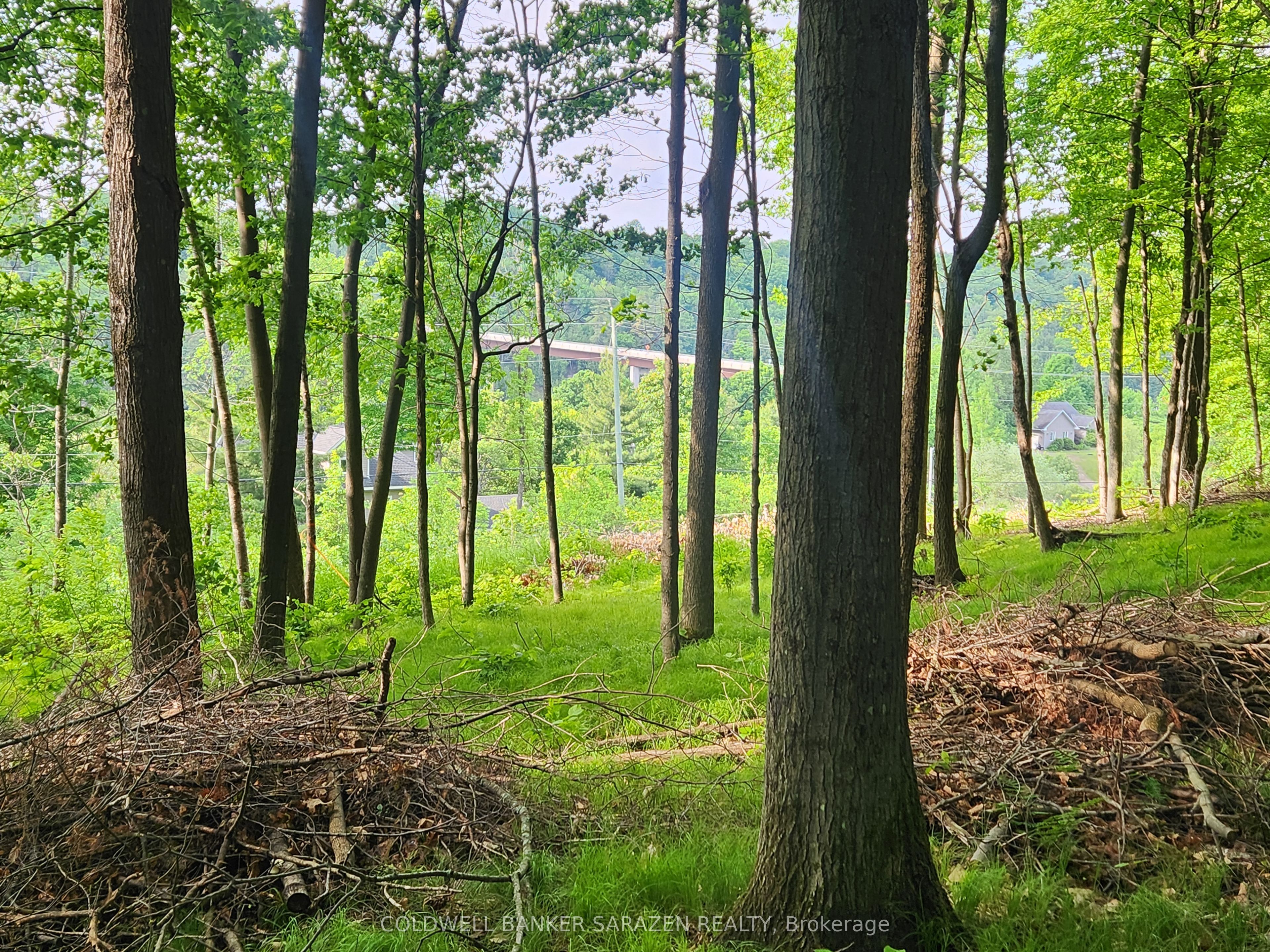 1680 Calabogie Road Property Photo 6