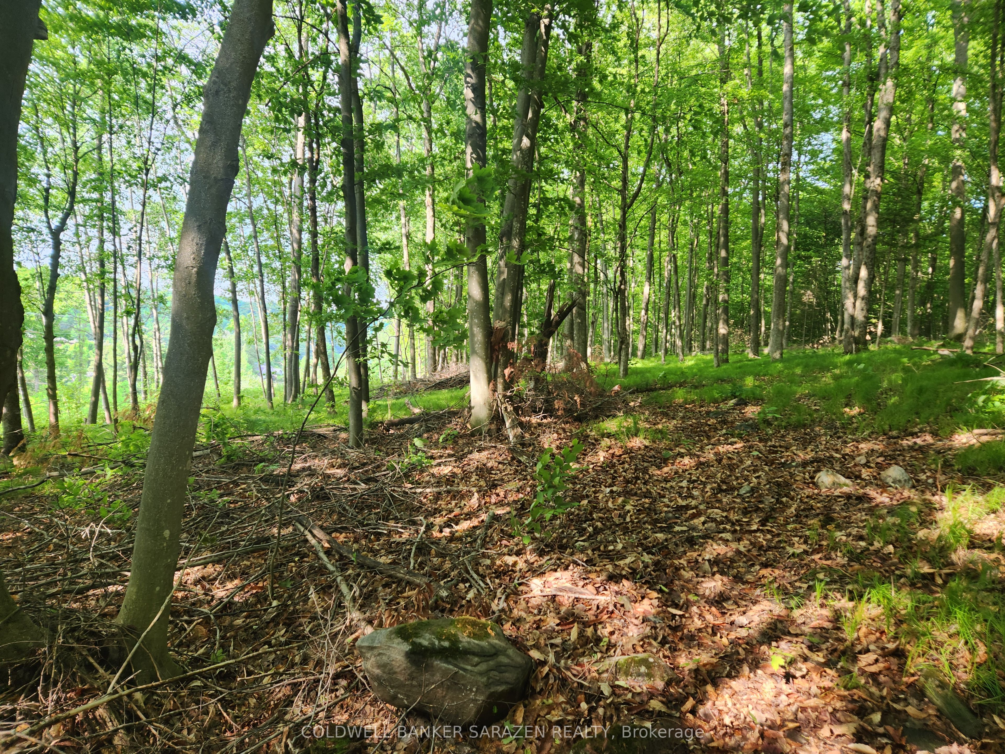 1680 Calabogie Road Property Photo 7