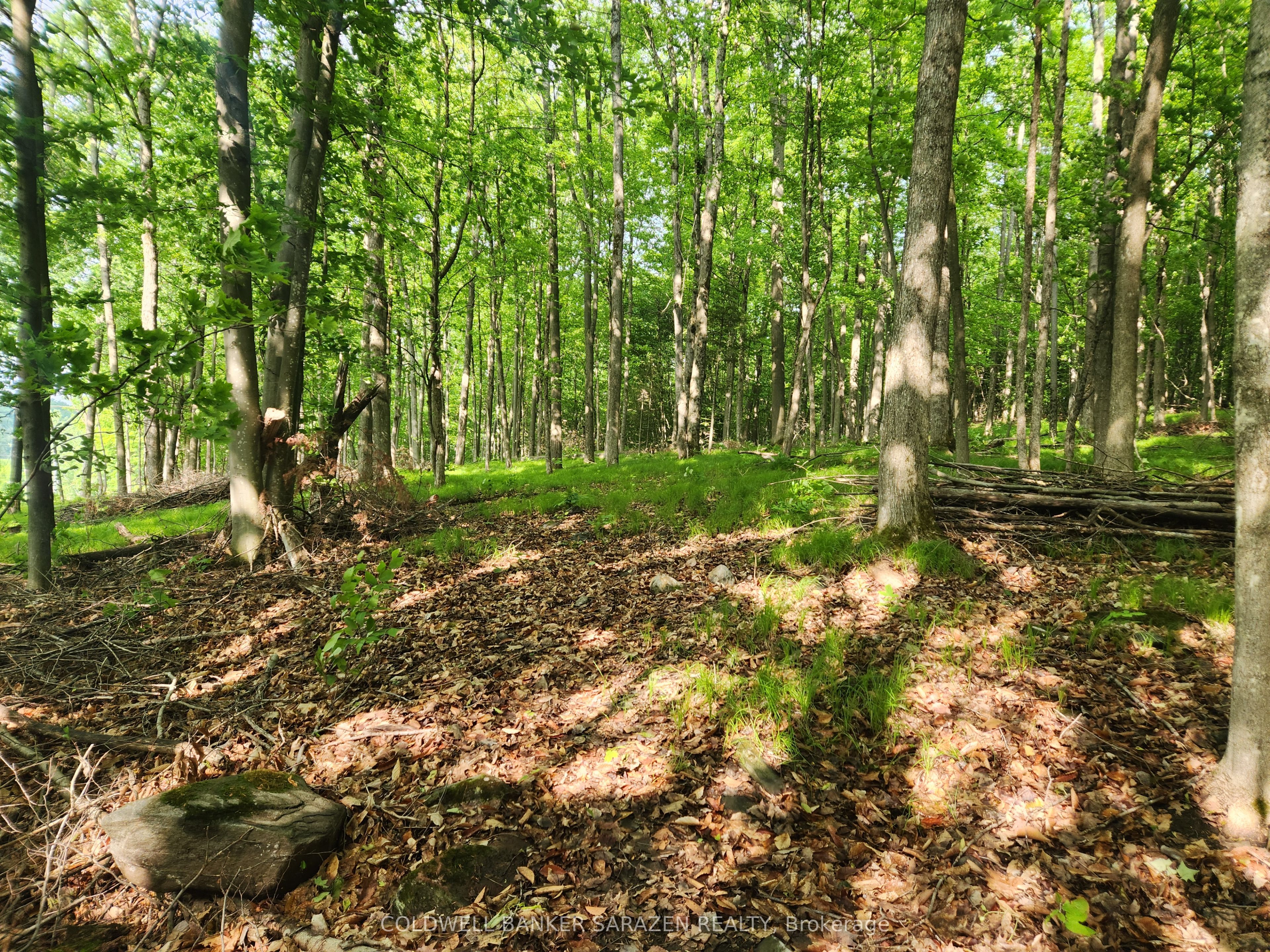 1680 Calabogie Road Property Photo 8