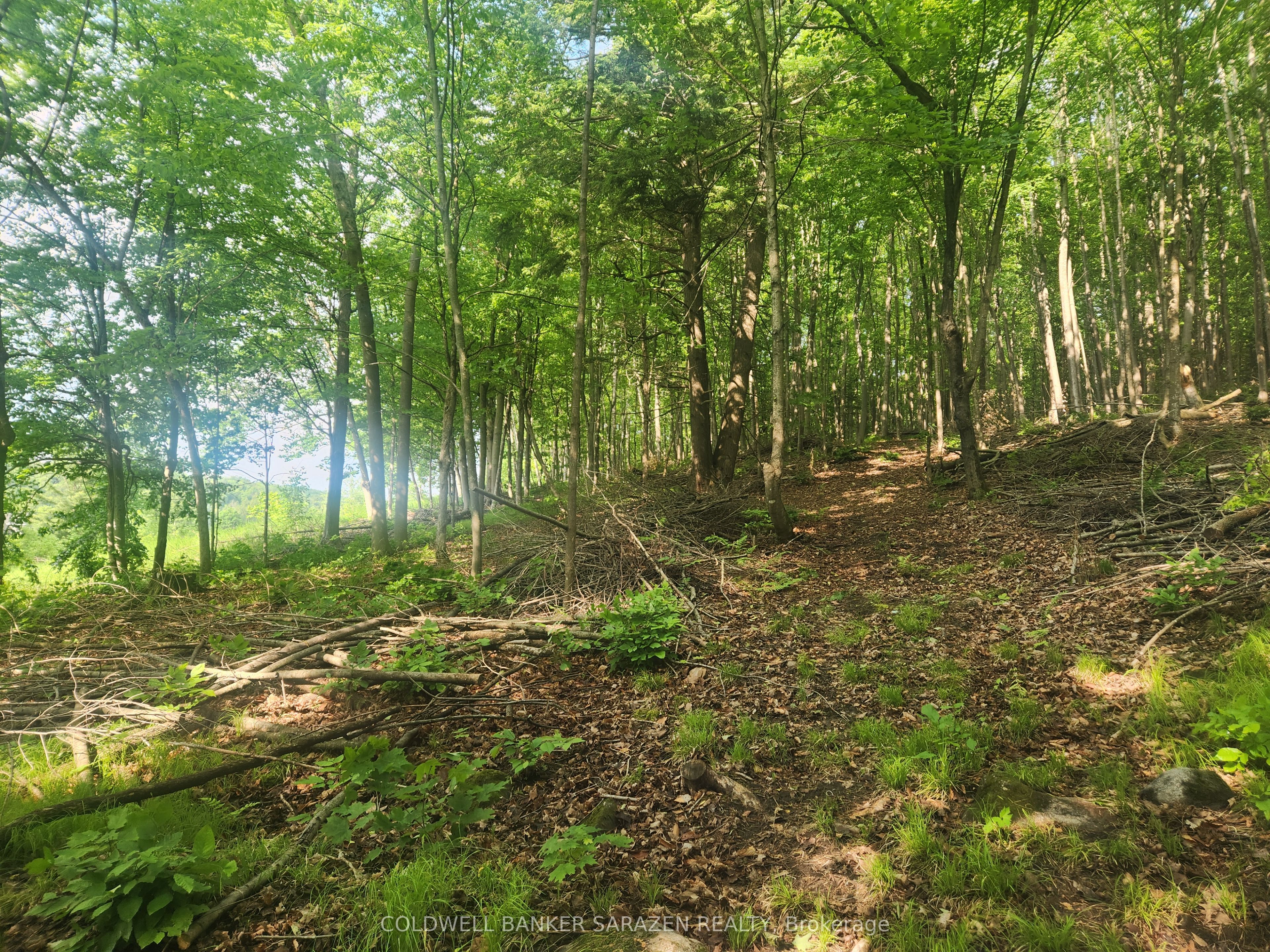 1680 Calabogie Road Property Photo 10