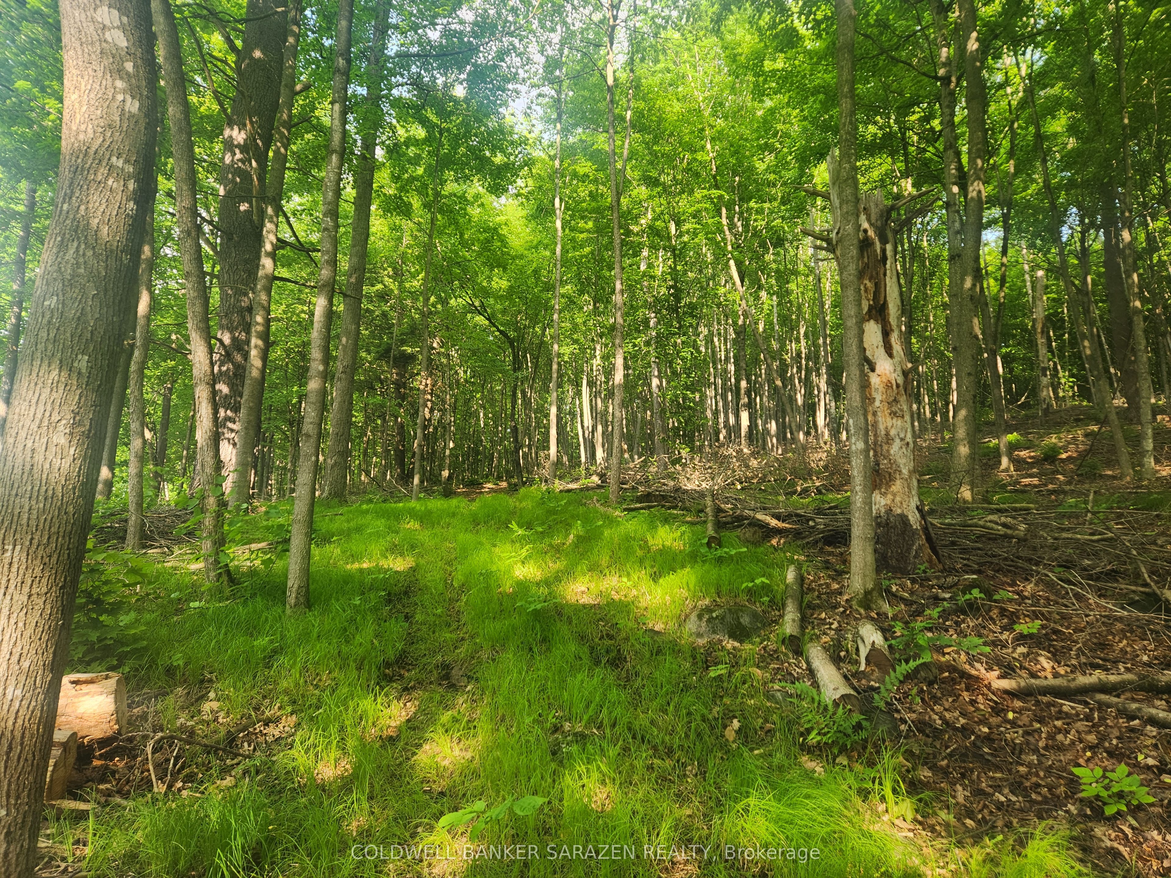 1680 Calabogie Road Property Photo 11