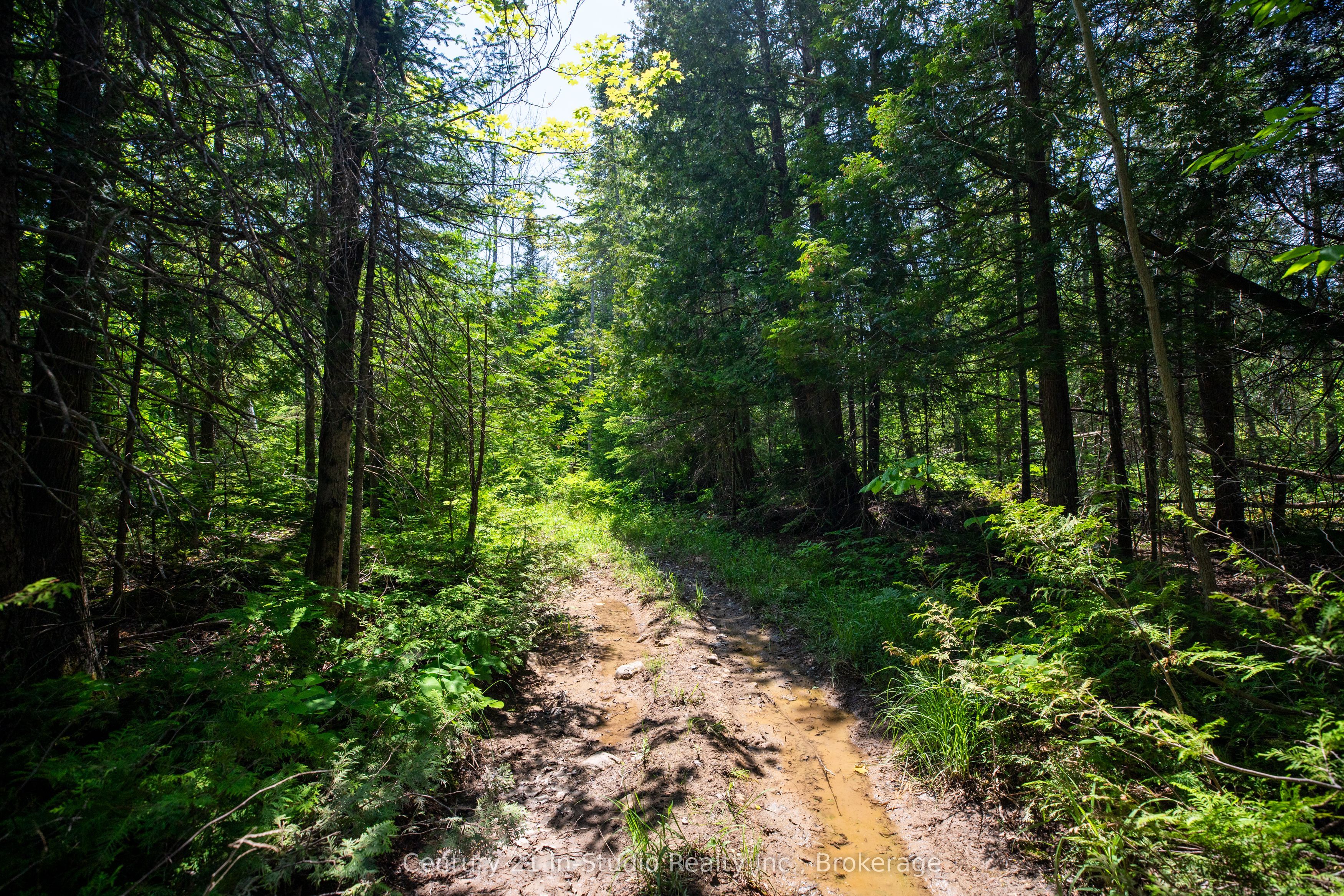 Lot 13 Boat Lake Road Property Photo 5