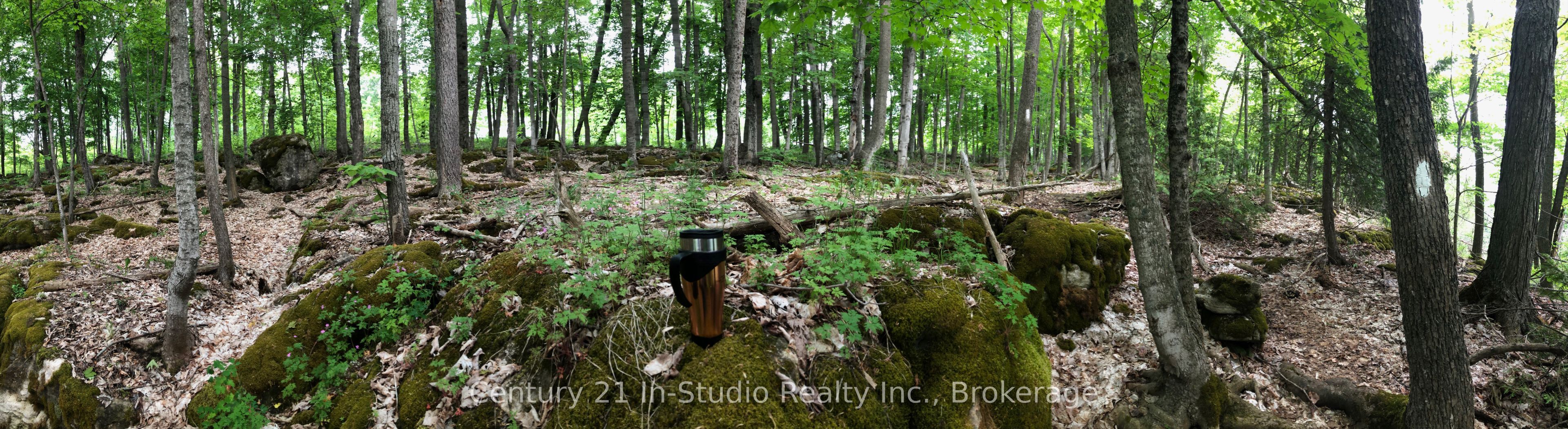 Lot 13 Boat Lake Road Property Photo 7