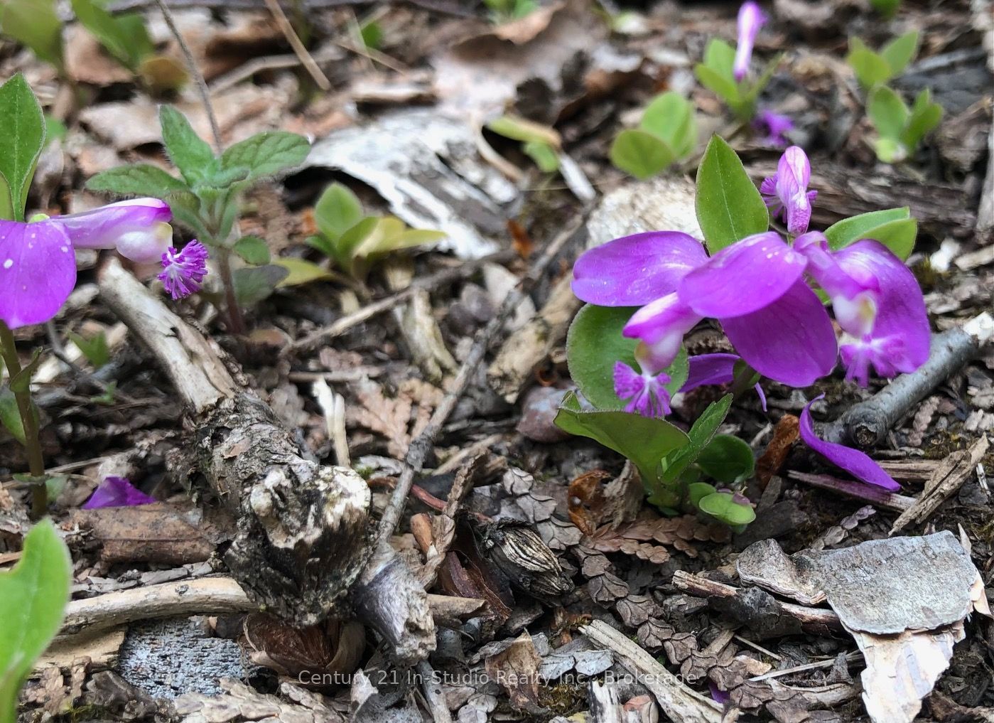 Lot 13 Boat Lake Road Property Photo 8