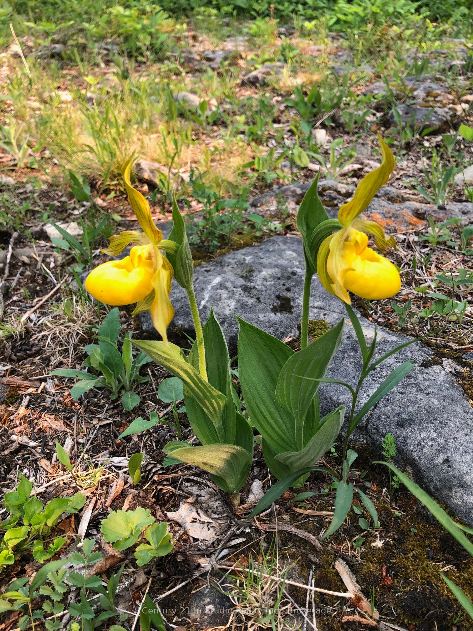 Lot 13 Boat Lake Road Property Photo 10